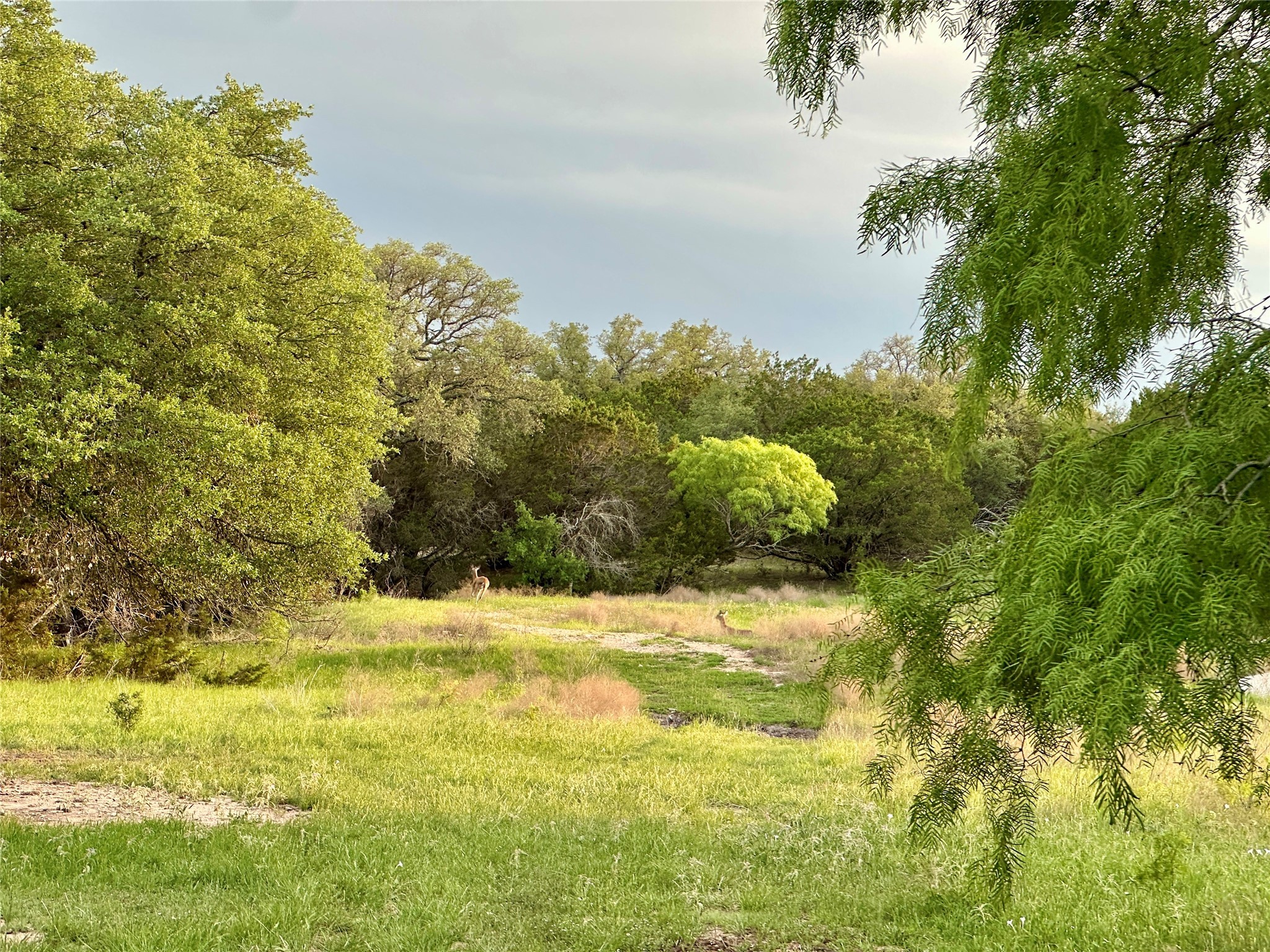 Tbd Fm 3023 S Goldthwaite TX 76844