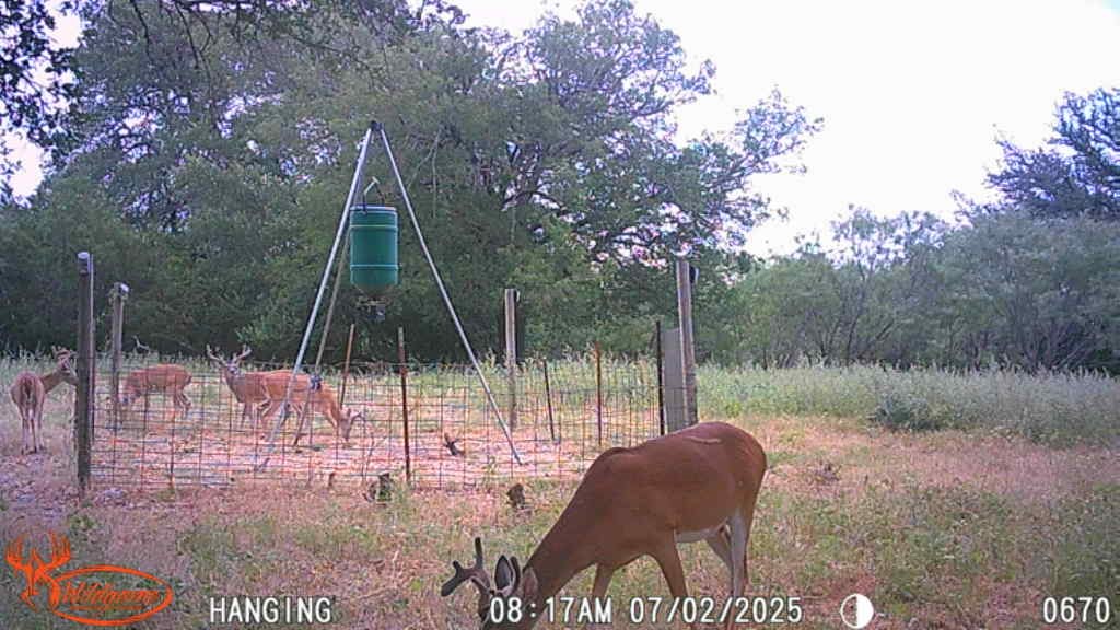 Tbd Fm 3023 S Goldthwaite TX 76844