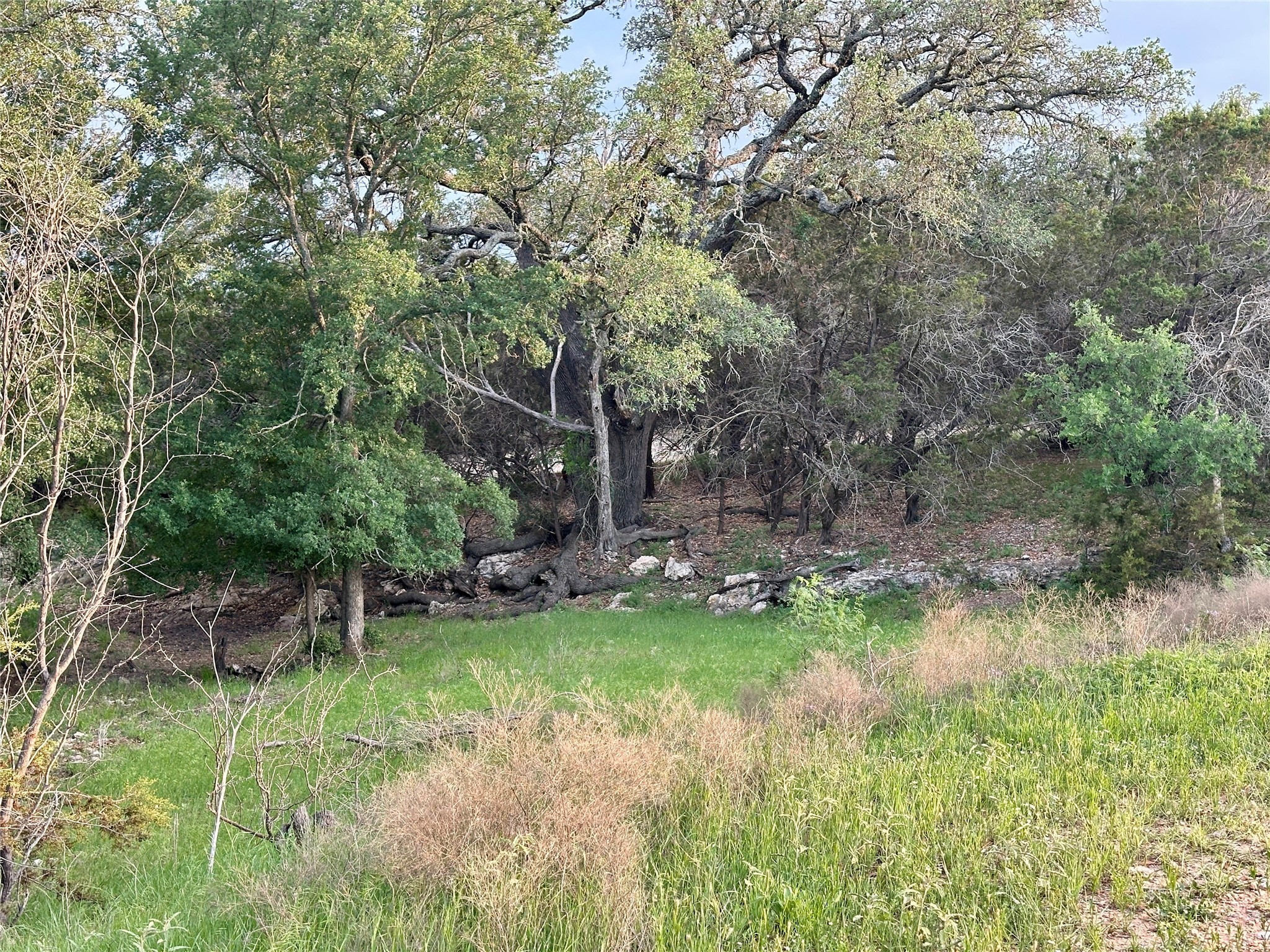 Tbd Fm 3023 S Goldthwaite TX 76844