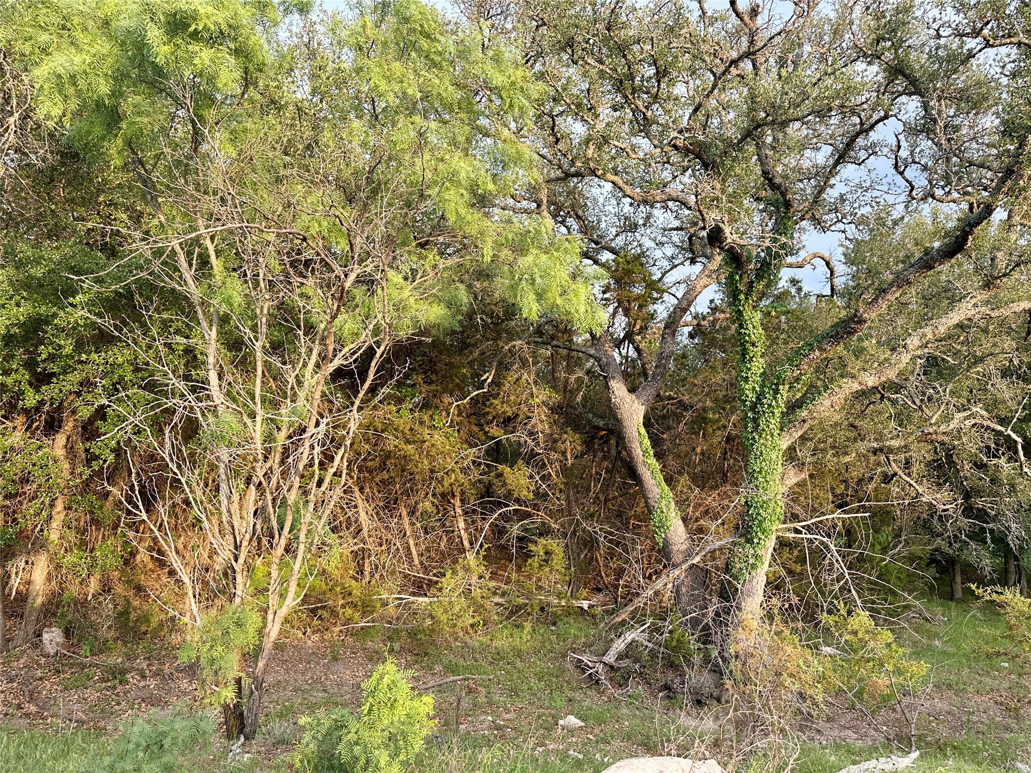 Tbd Fm 3023 S Goldthwaite TX 76844