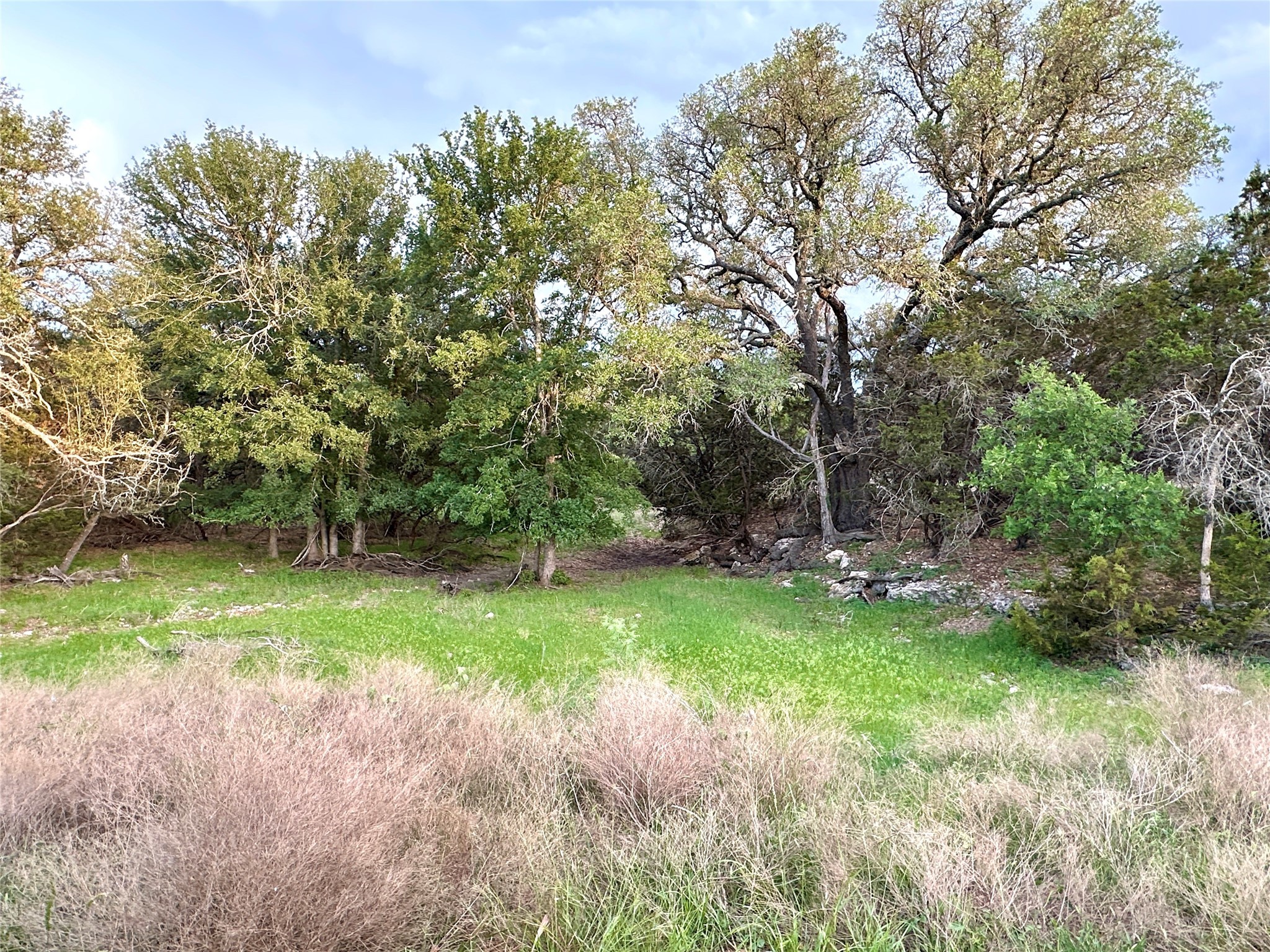 Tbd Fm 3023 S Goldthwaite TX 76844