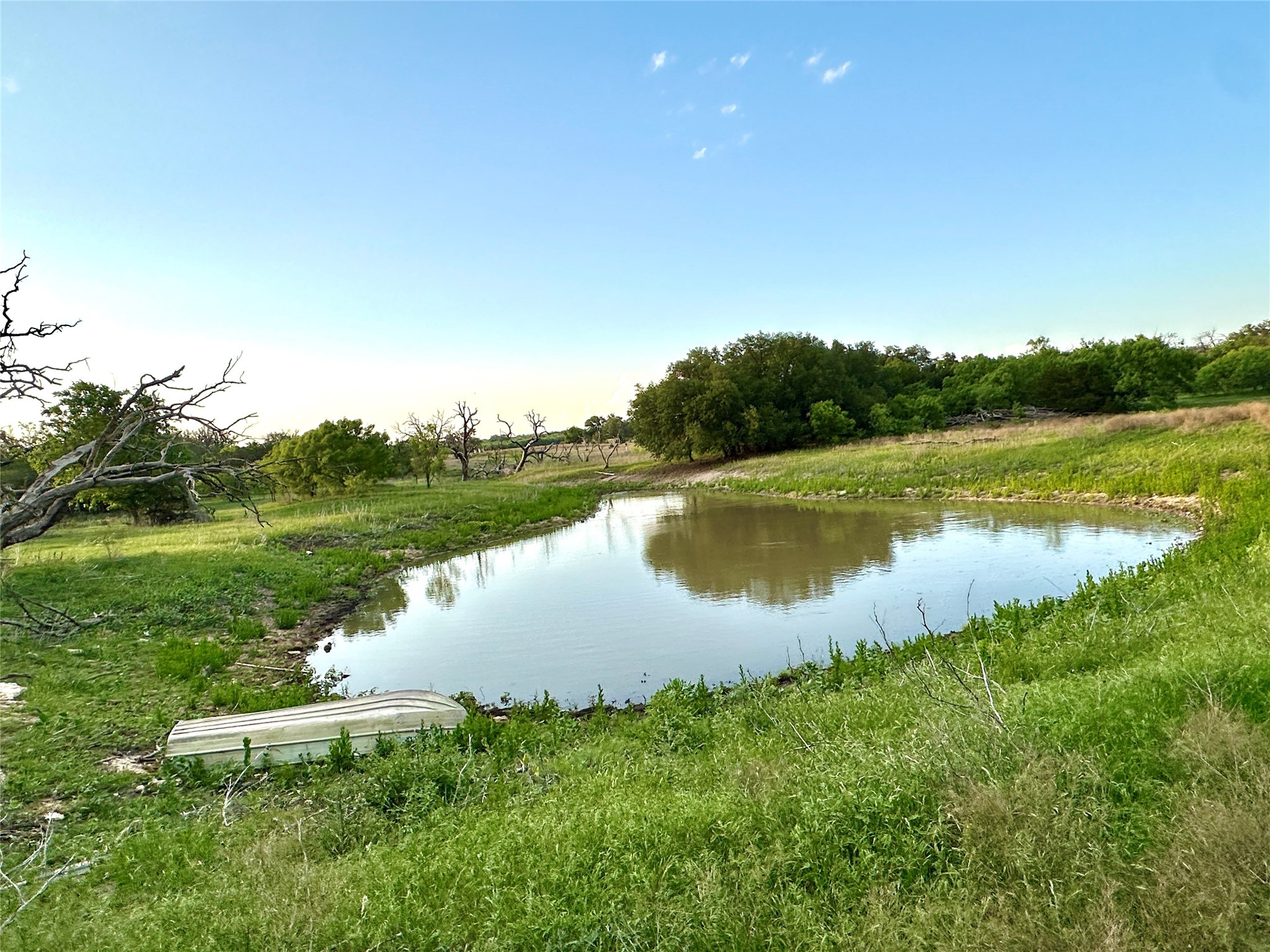 Tbd Fm 3023 S Goldthwaite TX 76844