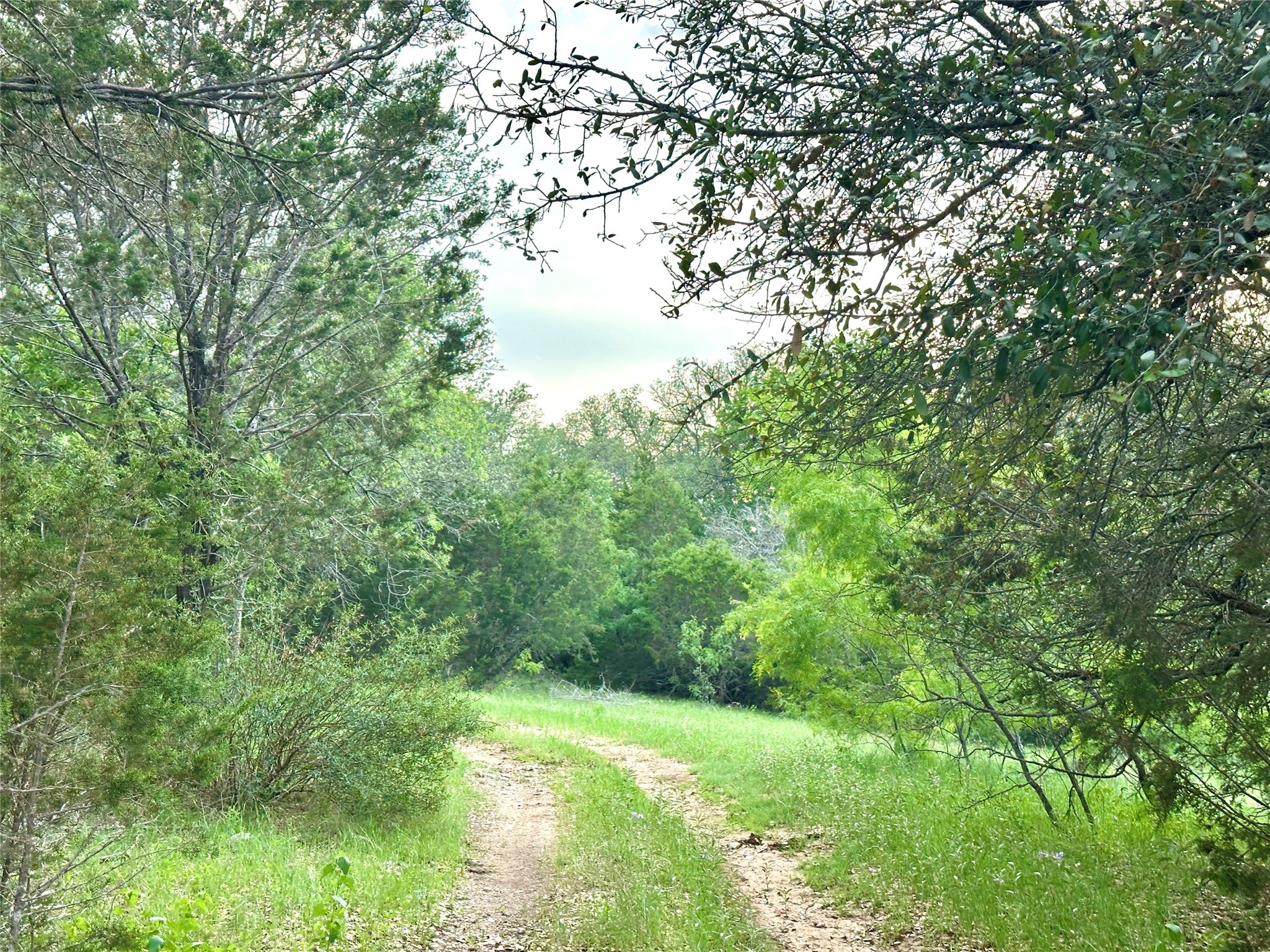 Tbd Fm 3023 S Goldthwaite TX 76844