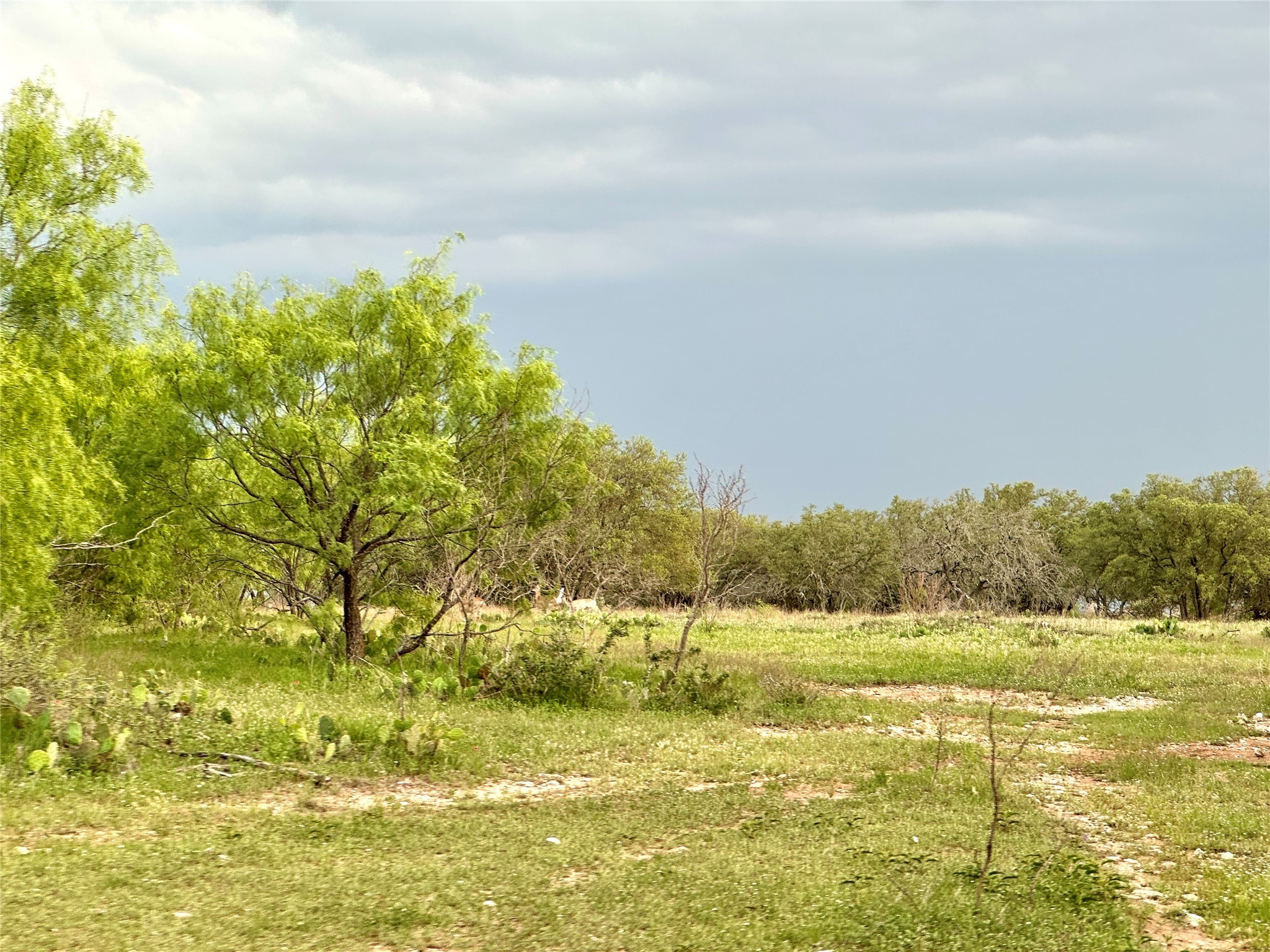 Tbd Fm 3023 S Goldthwaite TX 76844