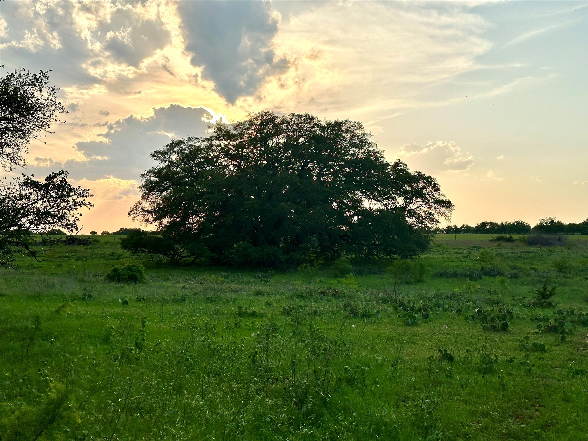 Tbd Fm 3023 S Goldthwaite TX 76844