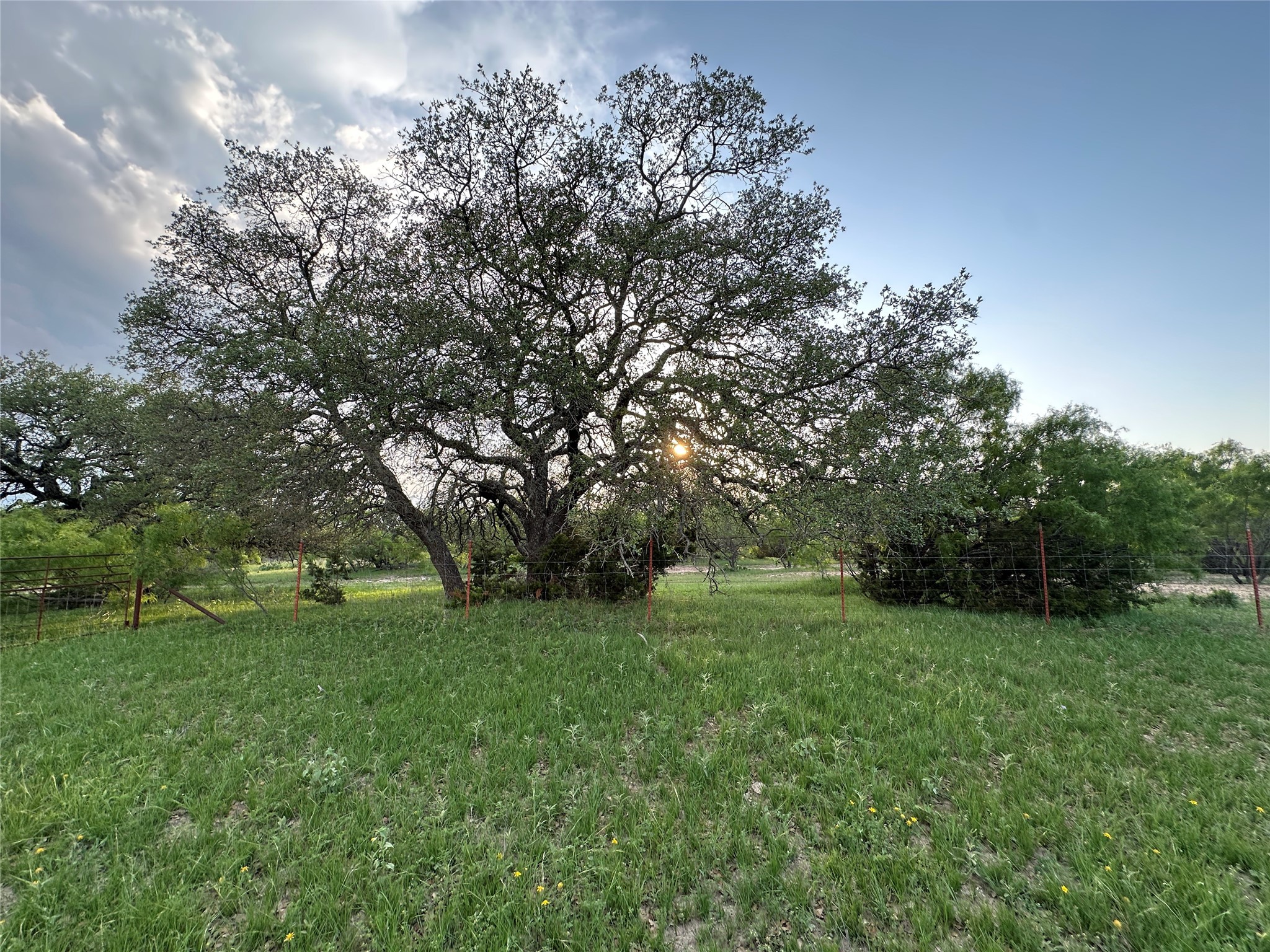 Tbd Fm 3023 S Goldthwaite TX 76844