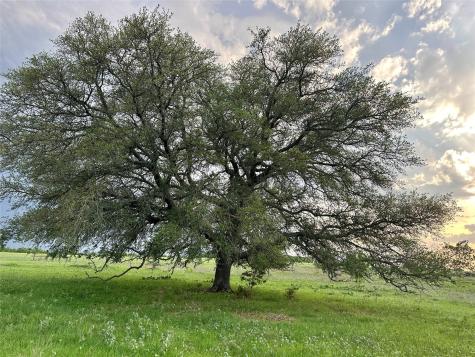 Tbd Fm 3023 S Goldthwaite TX 76844