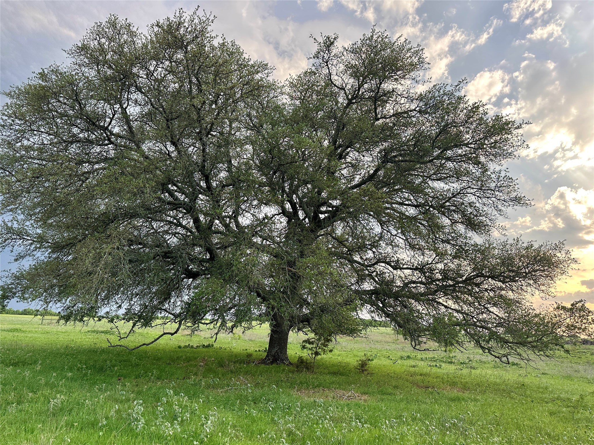 Tbd Fm 3023 S Goldthwaite TX 76844