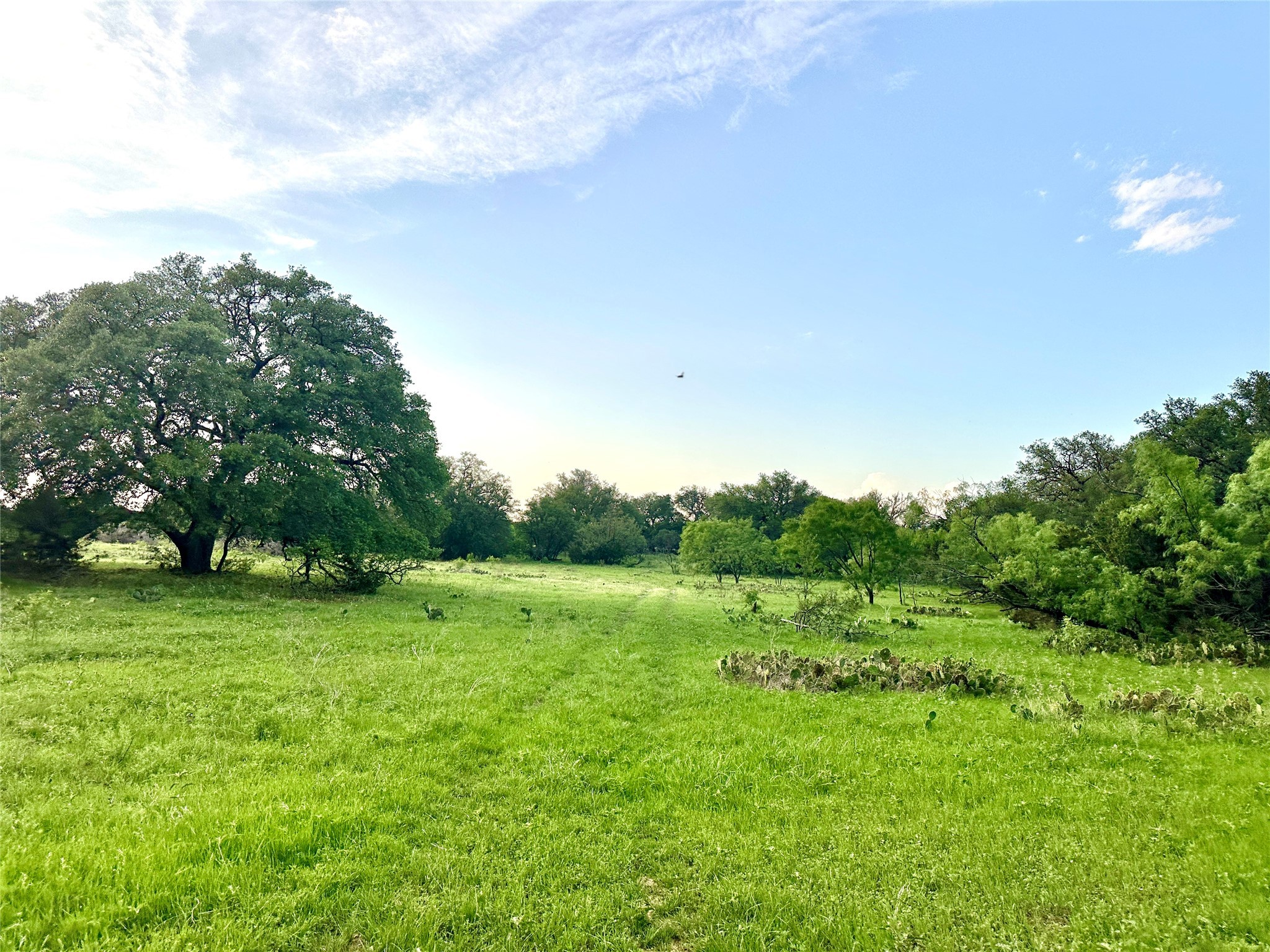 Tbd Fm 3023 S Goldthwaite TX 76844