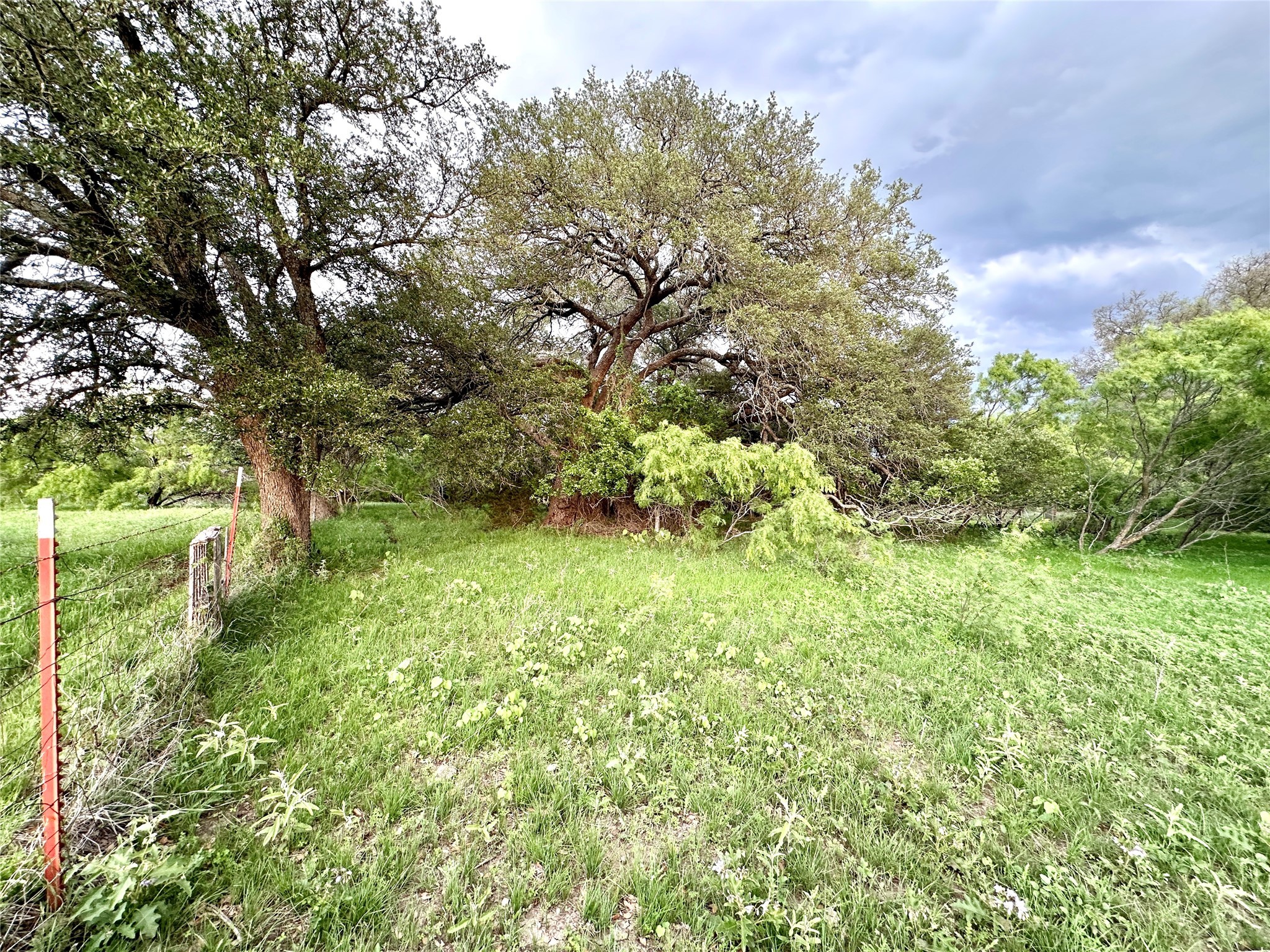 Tbd Fm 3023 S Goldthwaite TX 76844