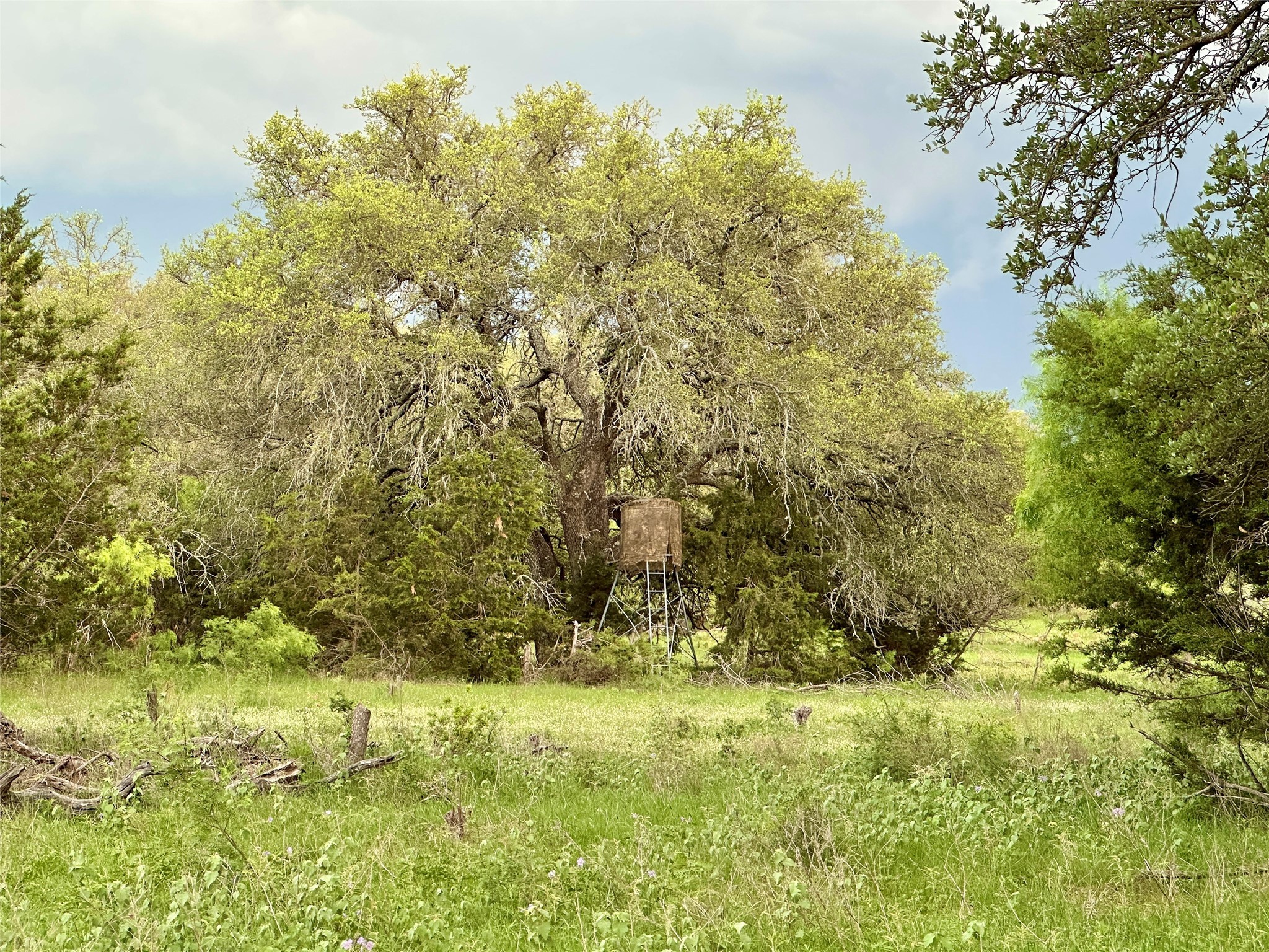 Tbd Fm 3023 S Goldthwaite TX 76844