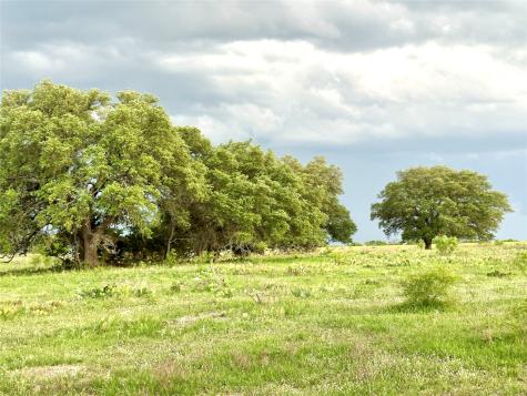 Tbd Fm 3023 S Goldthwaite TX 76844