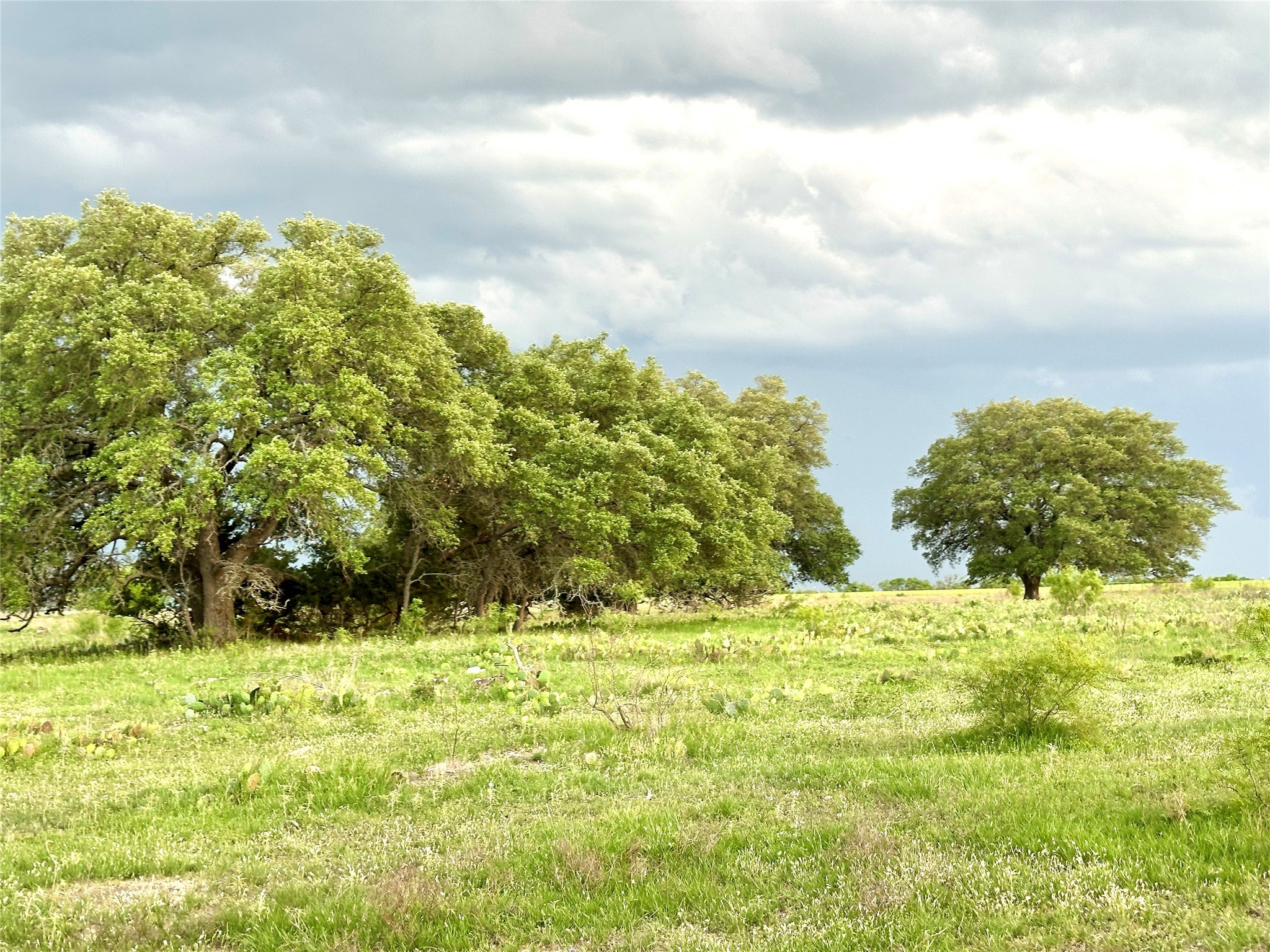 Tbd Fm 3023 S Goldthwaite TX 76844