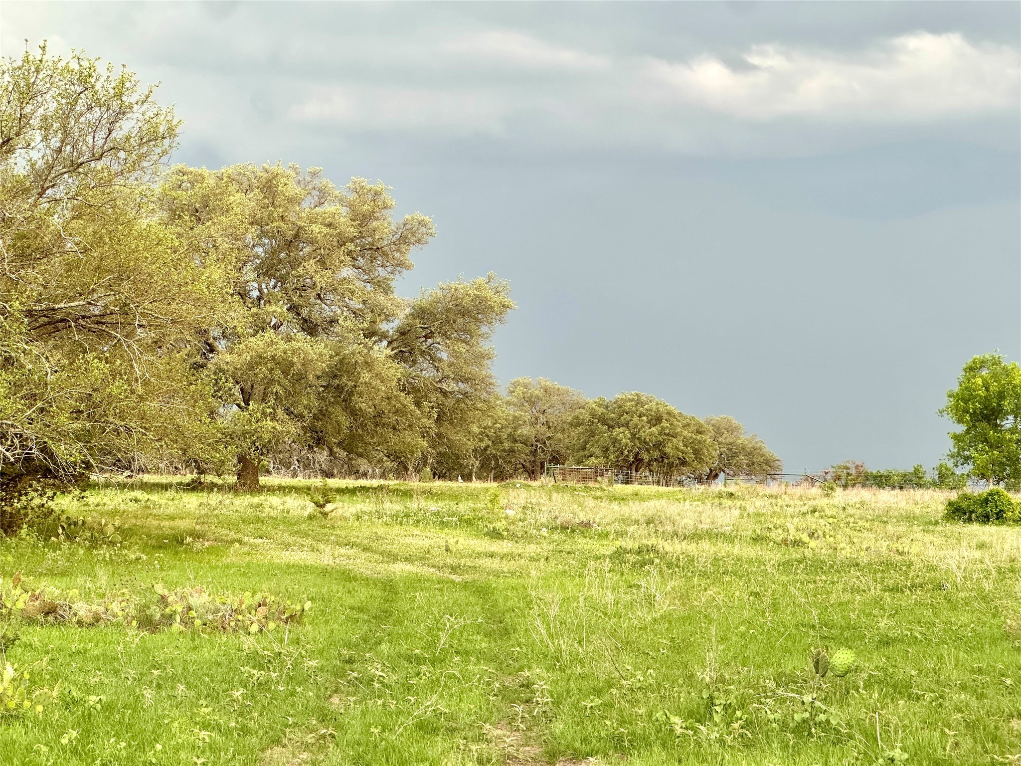 Tbd Fm 3023 S Goldthwaite TX 76844