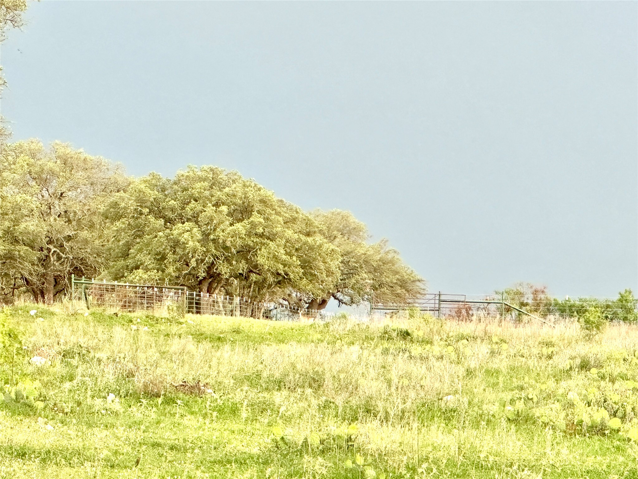 Tbd Fm 3023 S Goldthwaite TX 76844