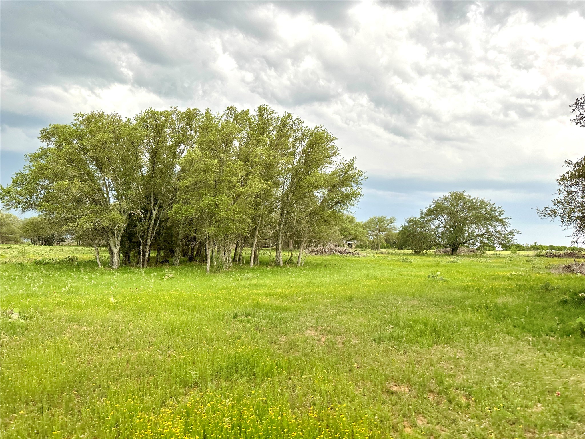 Tbd Fm 3023 S Goldthwaite TX 76844