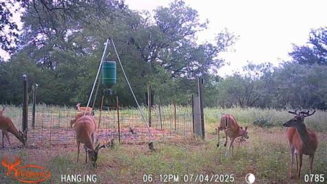 Tbd Fm 3023 S Goldthwaite TX 76844