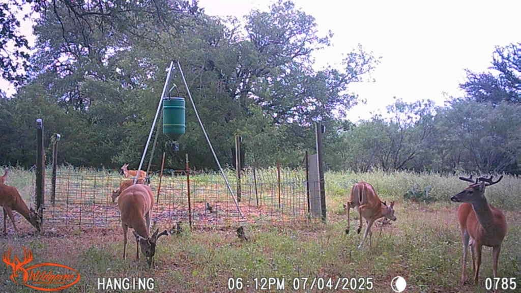 Tbd Fm 3023 S Goldthwaite TX 76844