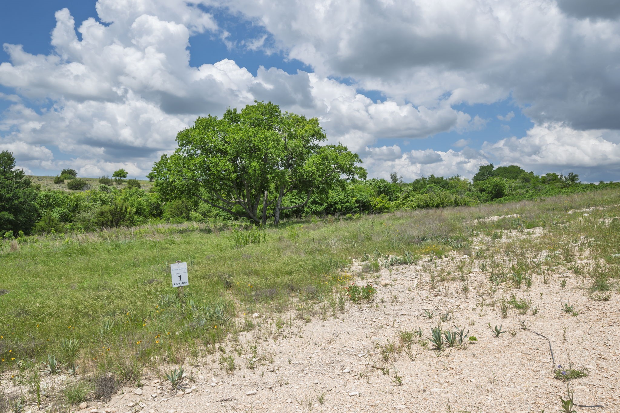2500 Tom Chaney Granbury TX 76049