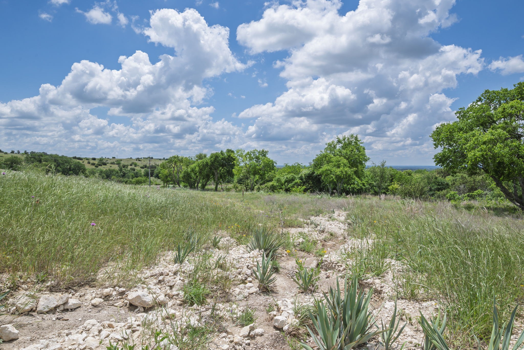 2500 Tom Chaney Granbury TX 76049