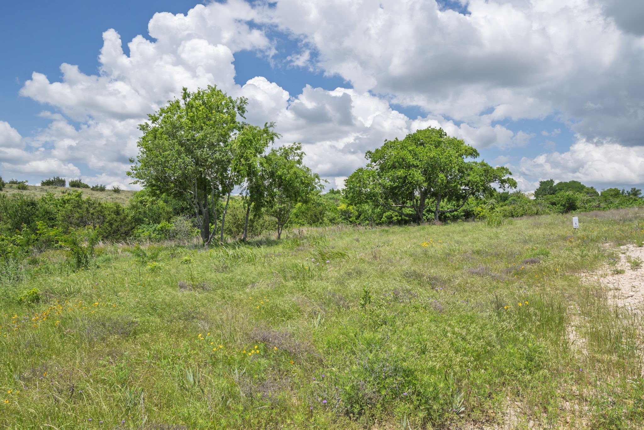 2500 Tom Chaney Granbury TX 76049