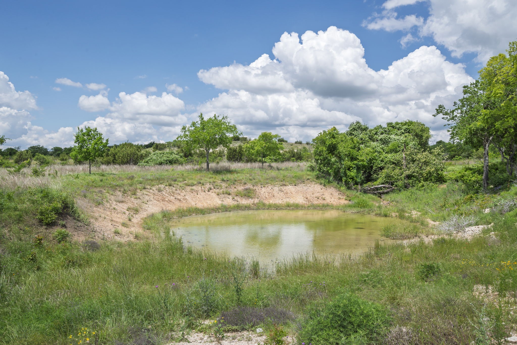 2500 Tom Chaney Granbury TX 76049