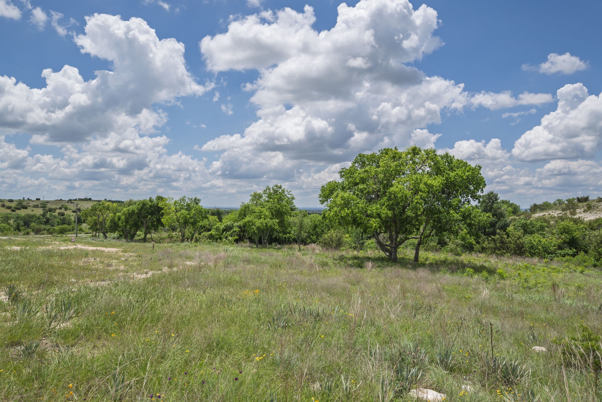 2500 Tom Chaney Granbury TX 76049