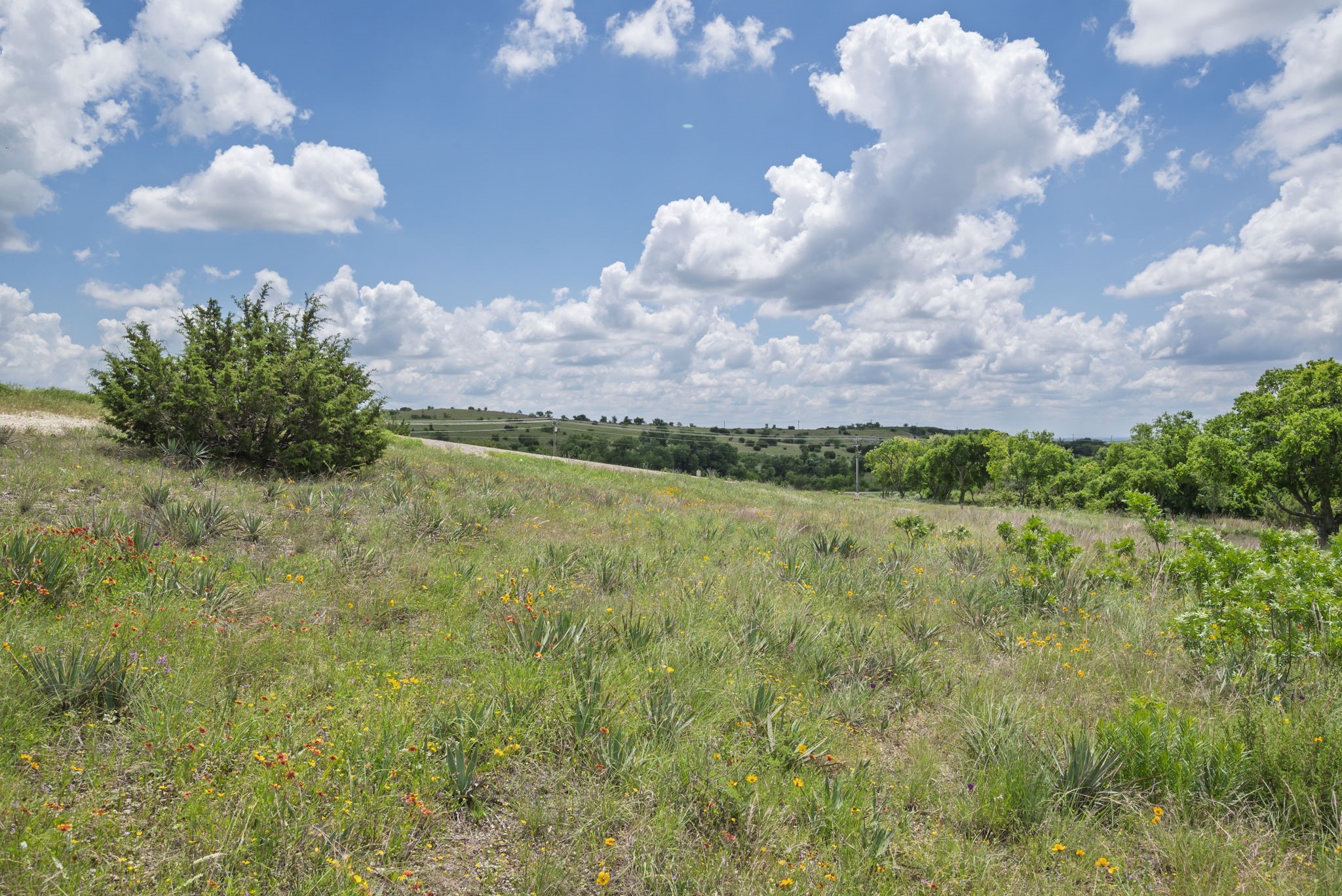 2500 Tom Chaney Granbury TX 76049