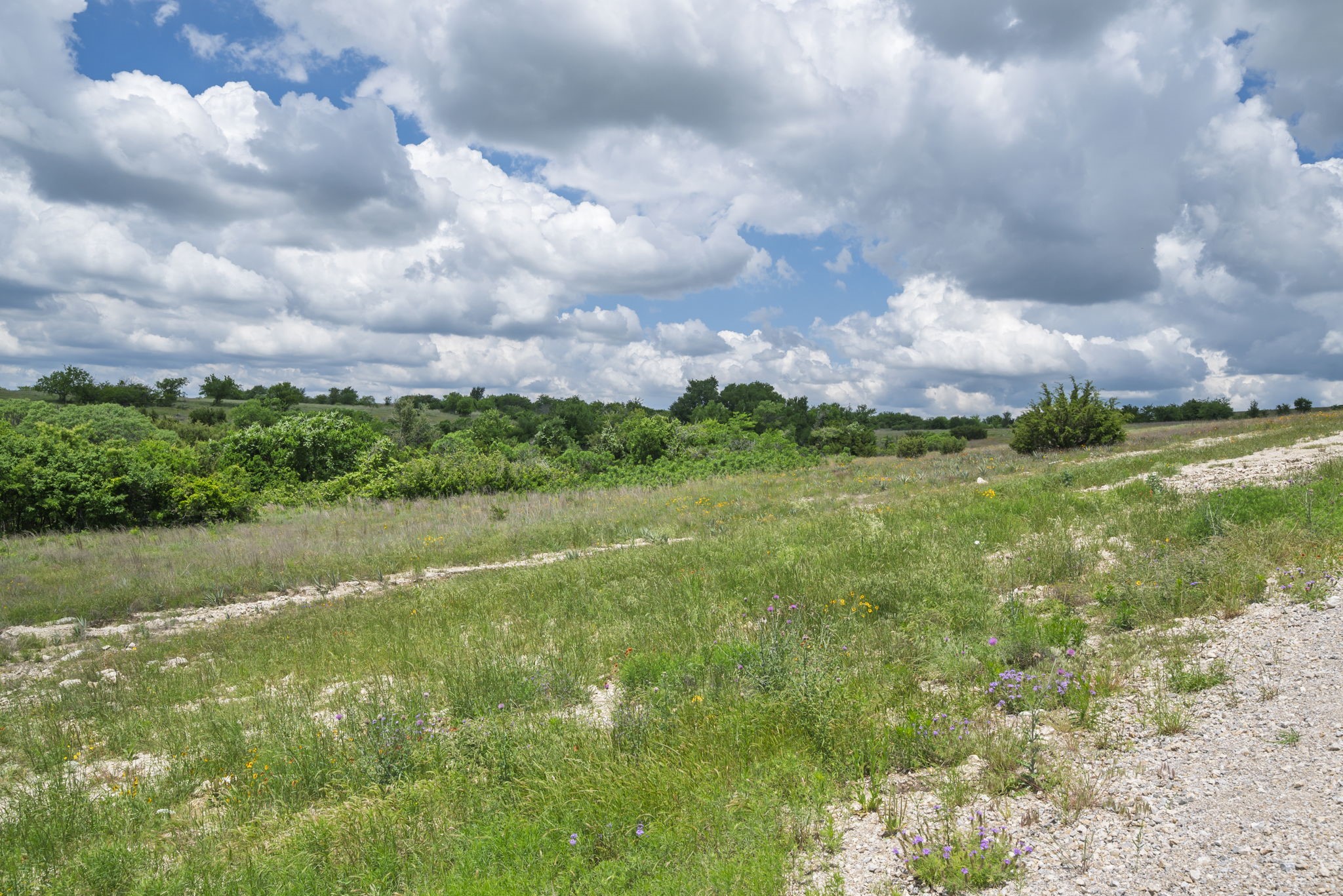 2500 Tom Chaney Granbury TX 76049