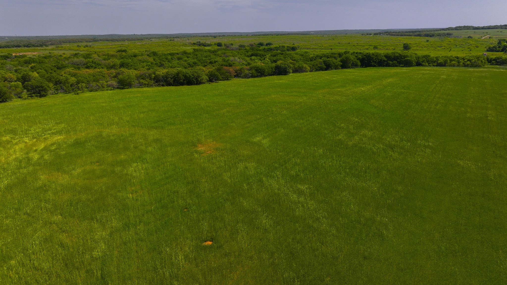 Tract 1 Rock Springs School Road Montague TX 76251