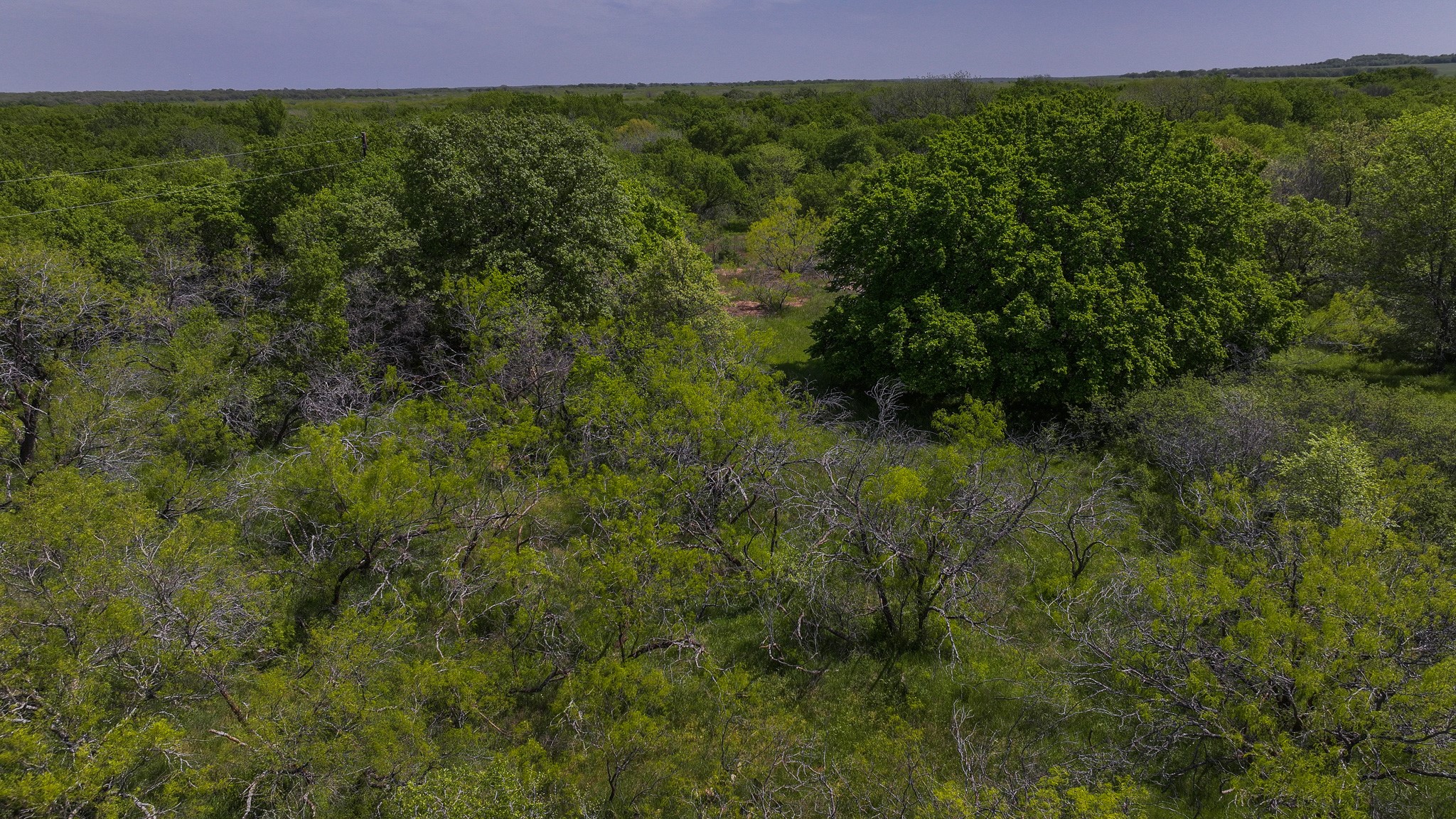 Tract 1 Rock Springs School Road Montague TX 76251