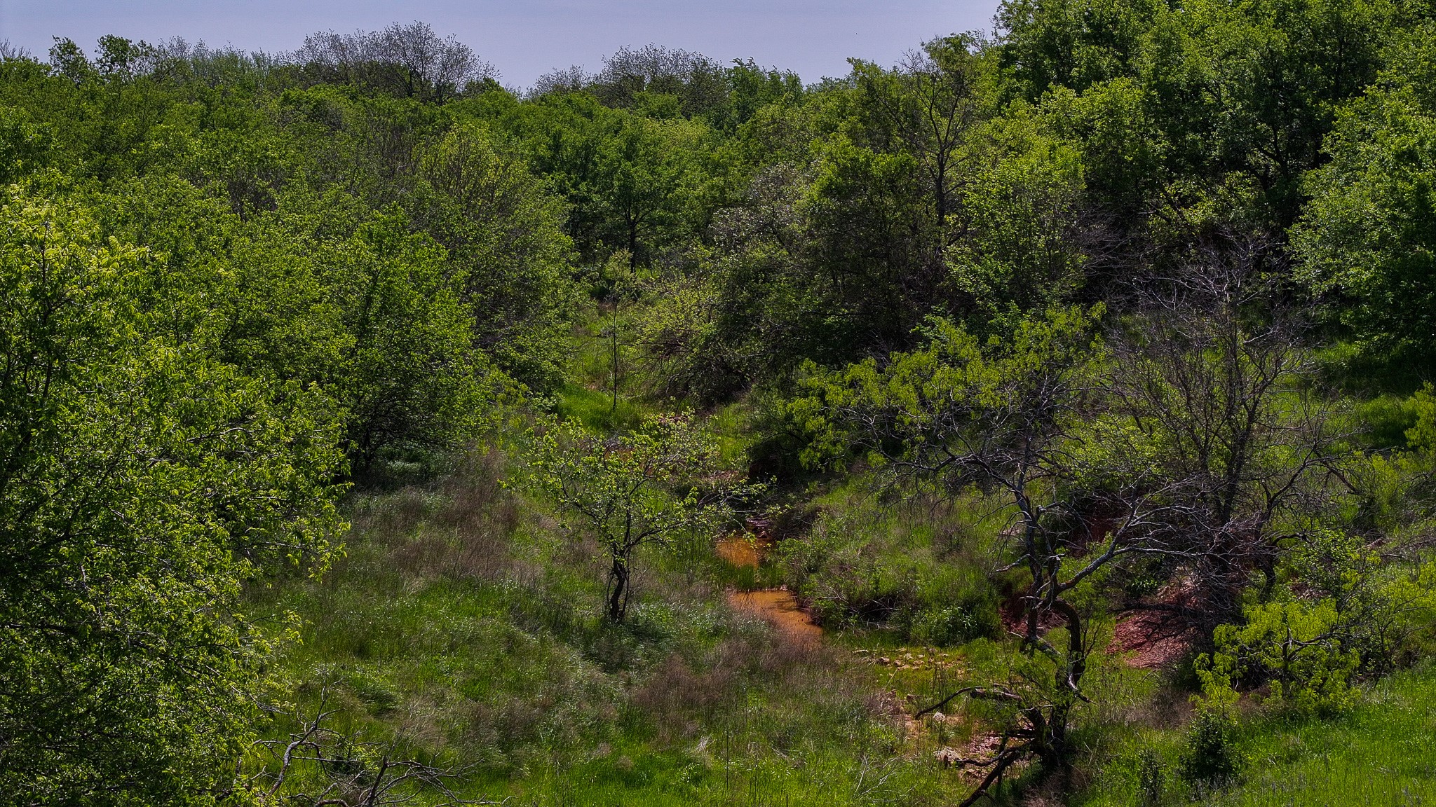 Tract 1 Rock Springs School Road Montague TX 76251