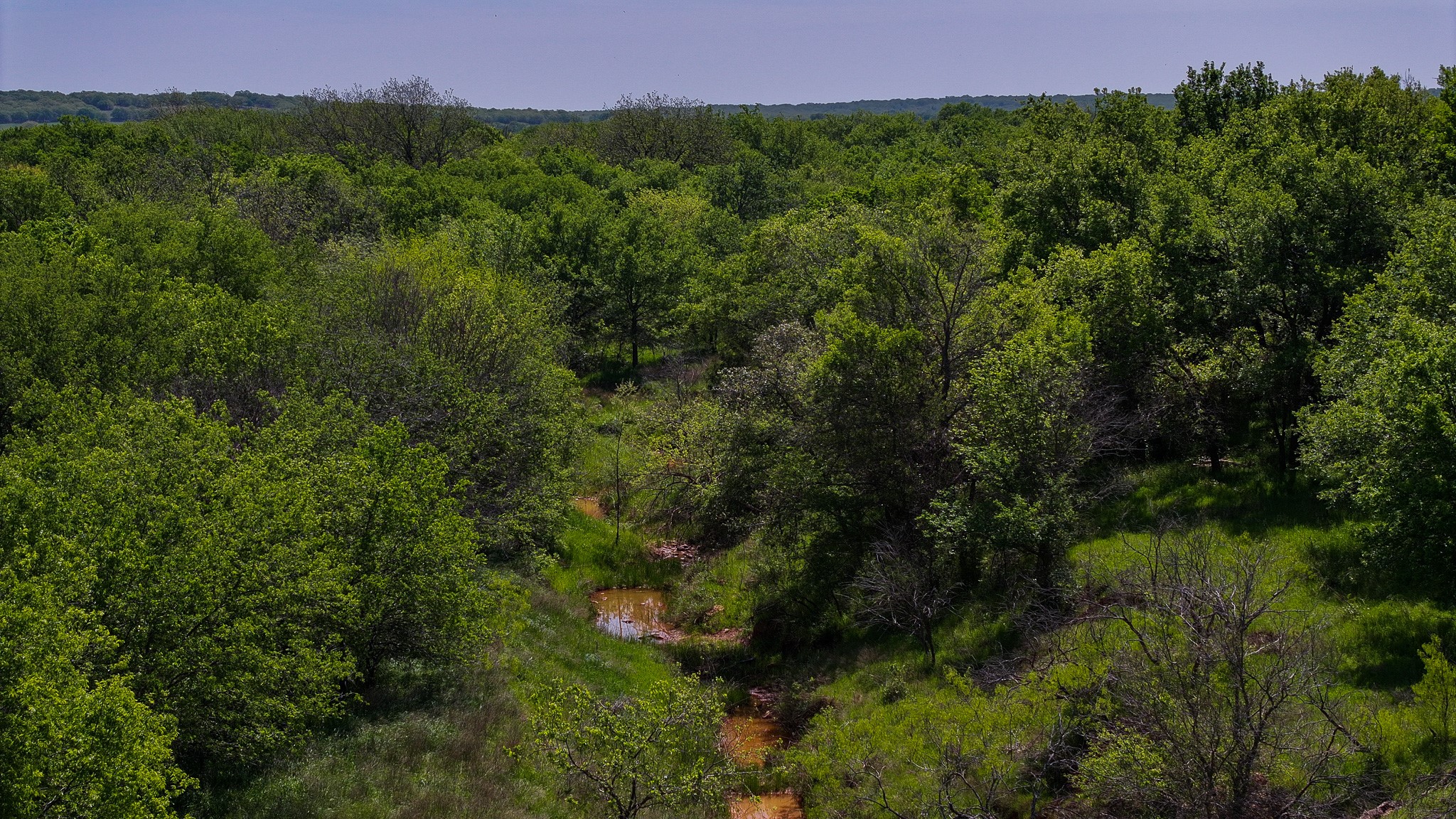Tract 1 Rock Springs School Road Montague TX 76251