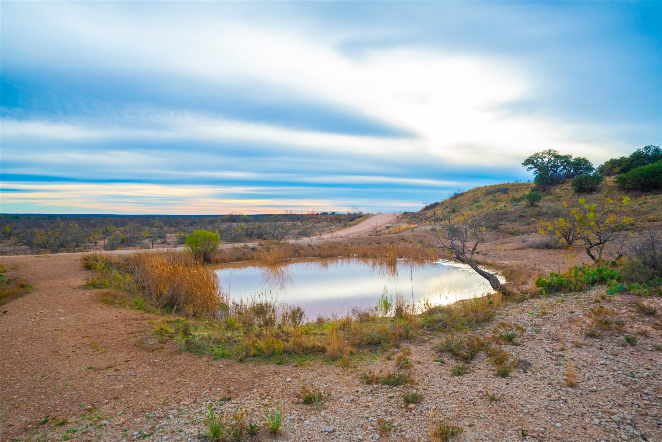 8500 County Road 121 Cross Plains TX 76801