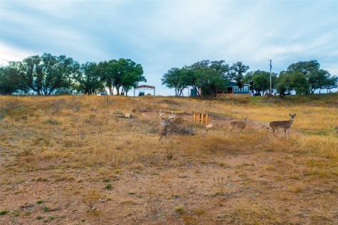 8500 County Road 121 Cross Plains TX 76801