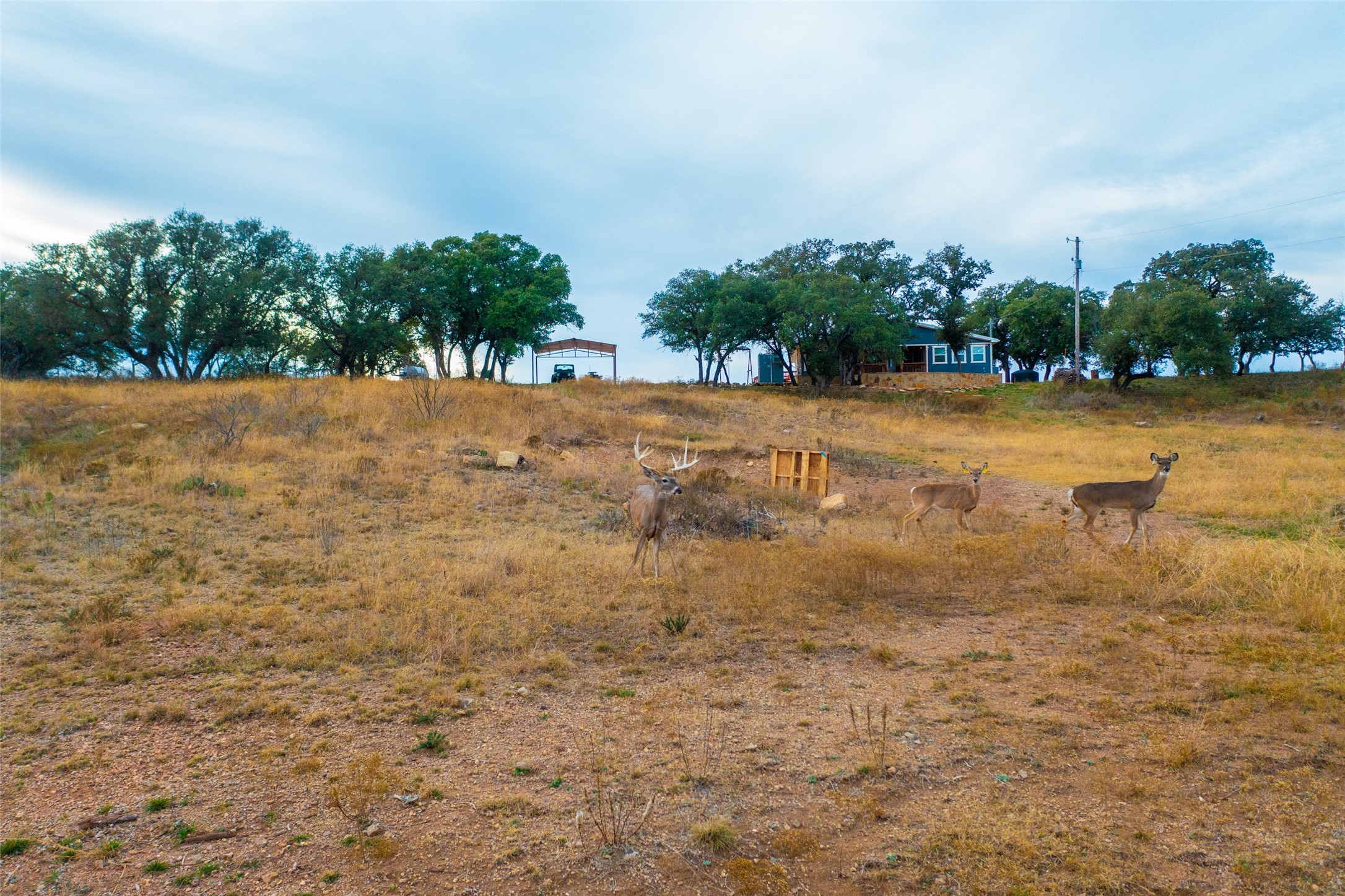 8500 County Road 121 Cross Plains TX 76801
