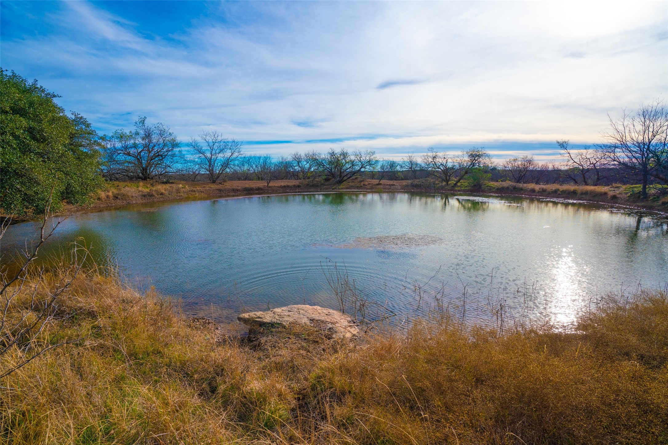 8500 County Road 121 Cross Plains TX 76801