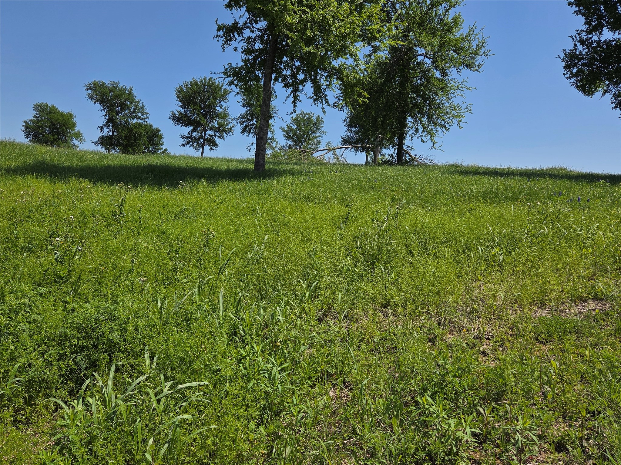 577 Old Peninsula Trail Corsicana TX 75109