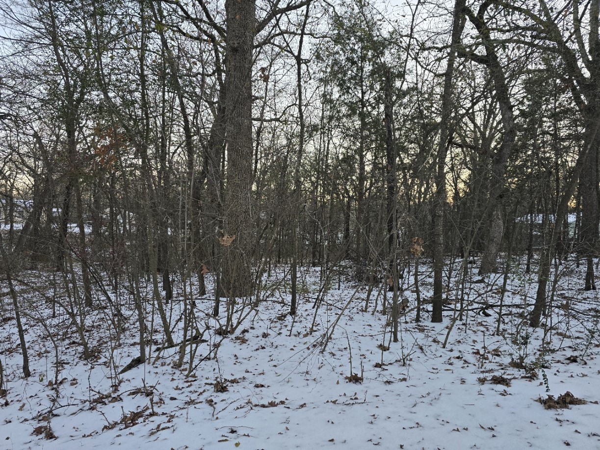 Lot 751 Doe Run Road Gun Barrel City TX 75156