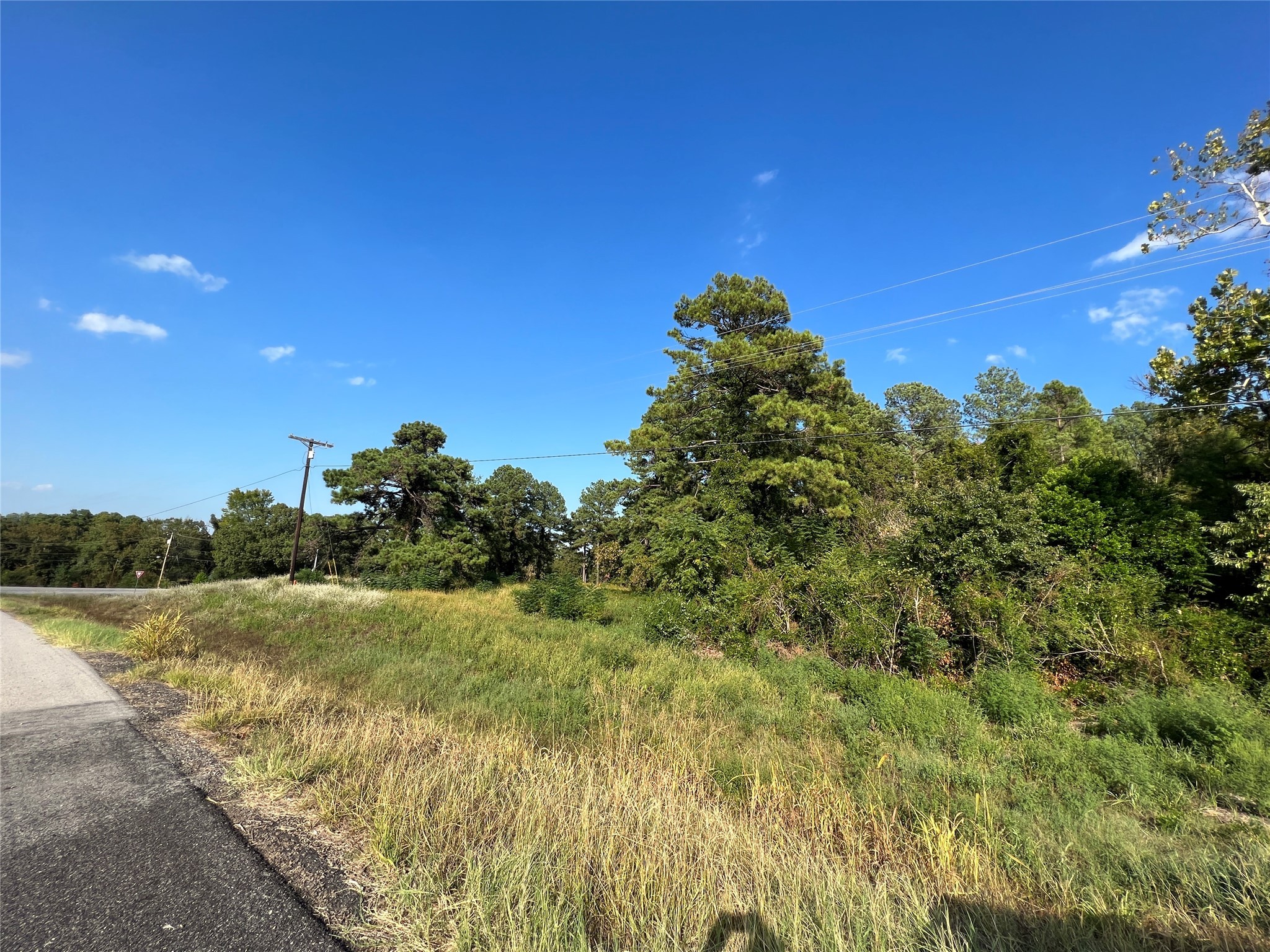 Tbd Fm 1801 Mineola TX 75773