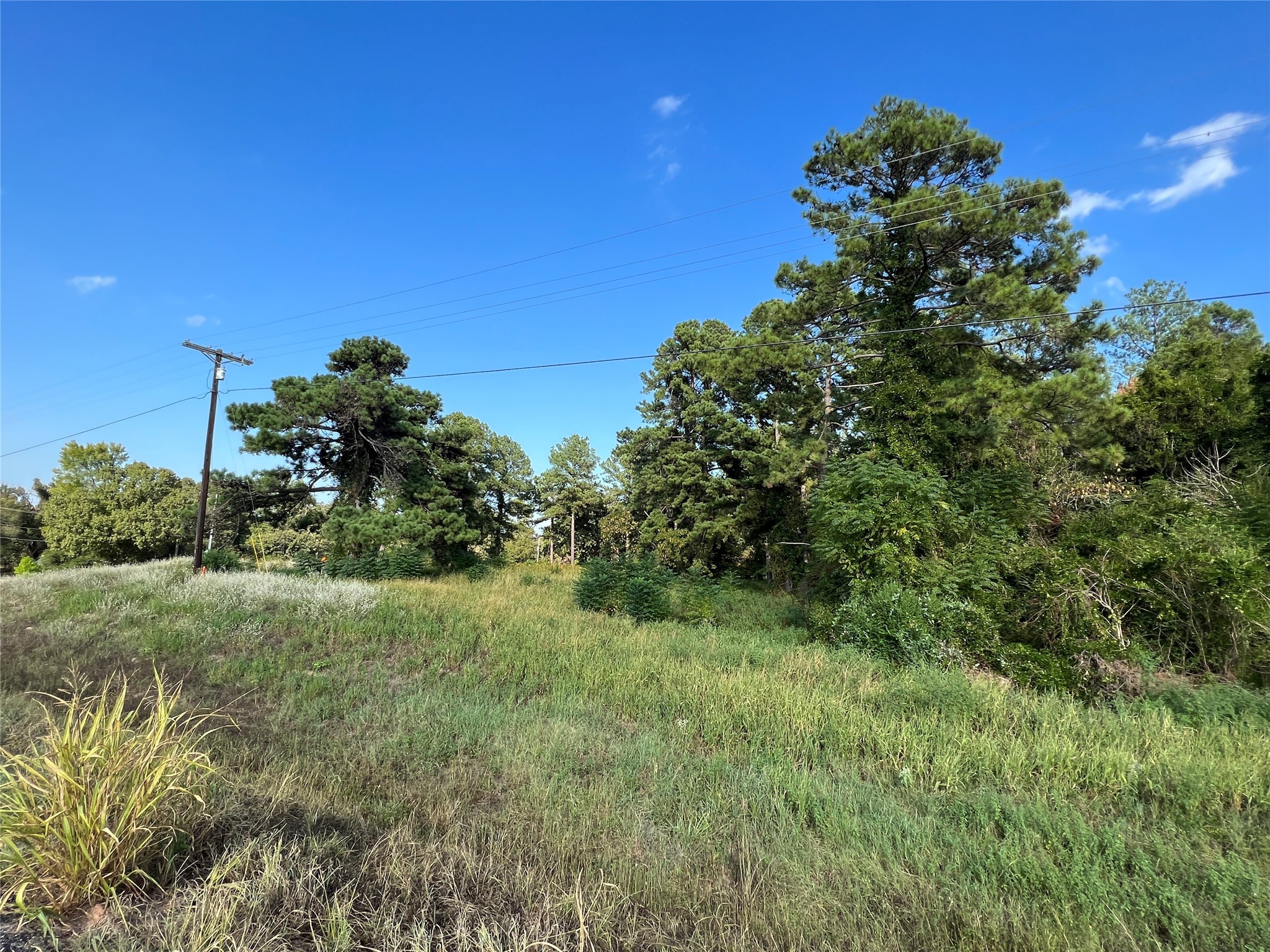 Tbd Fm 1801 Mineola TX 75773