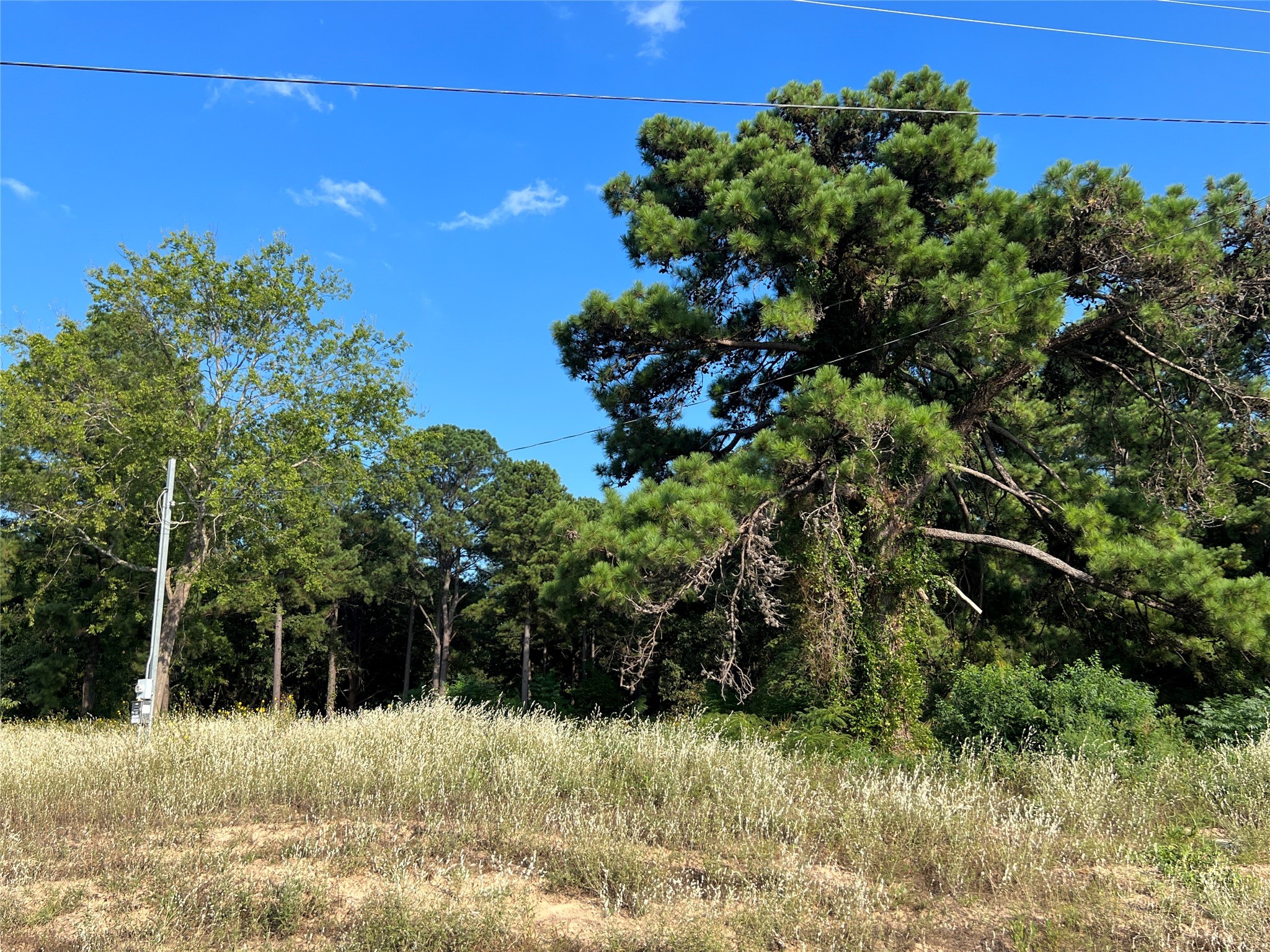 Tbd Fm 1801 Mineola TX 75773
