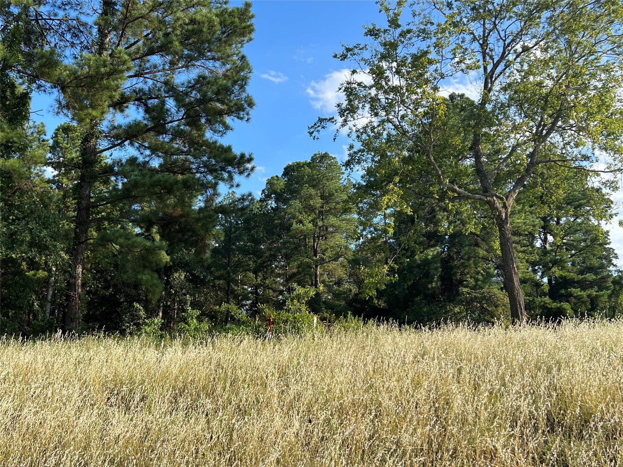 Tbd Fm 1801 Mineola TX 75773