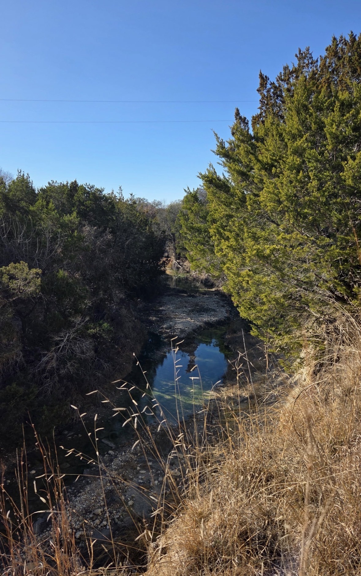Tbd County Road 4195 Clifton TX 76634