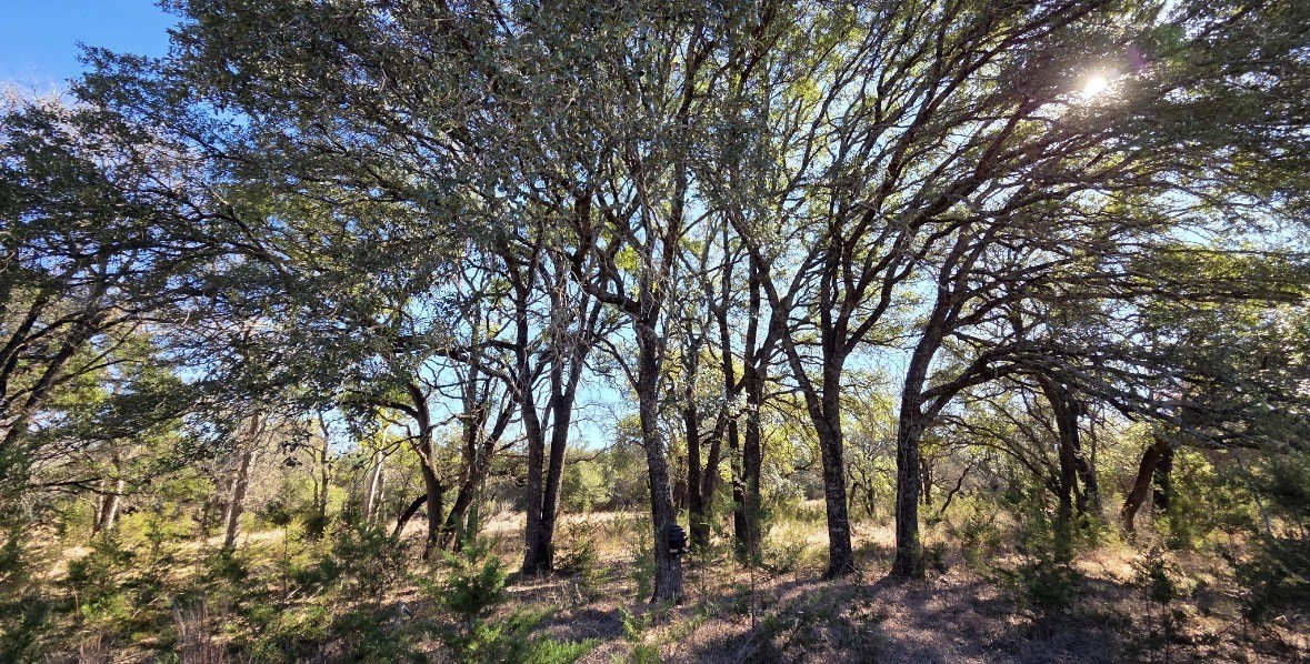 Tbd County Road 4195 Clifton TX 76634