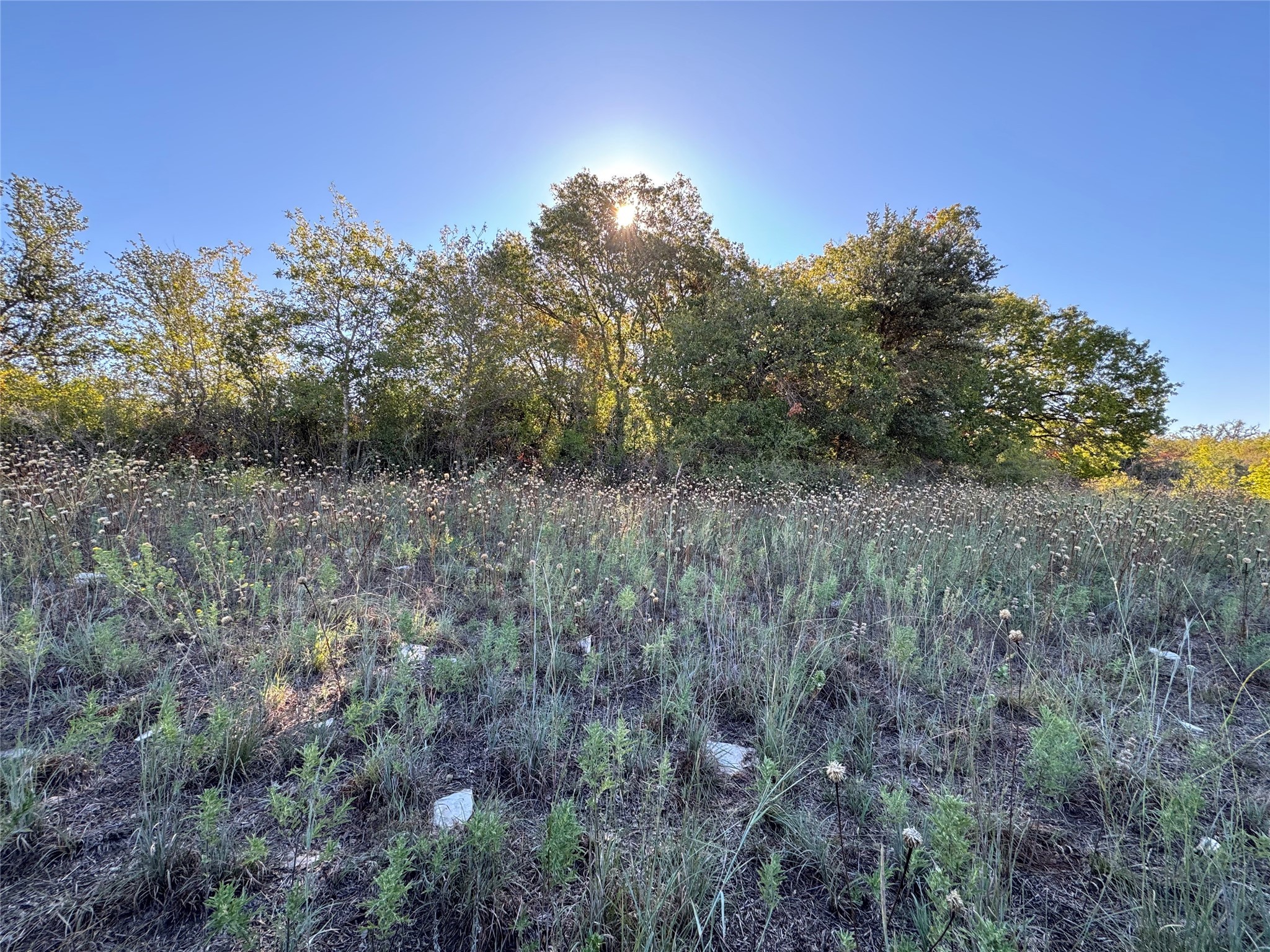 Tbd Mason Court Dublin TX 76446