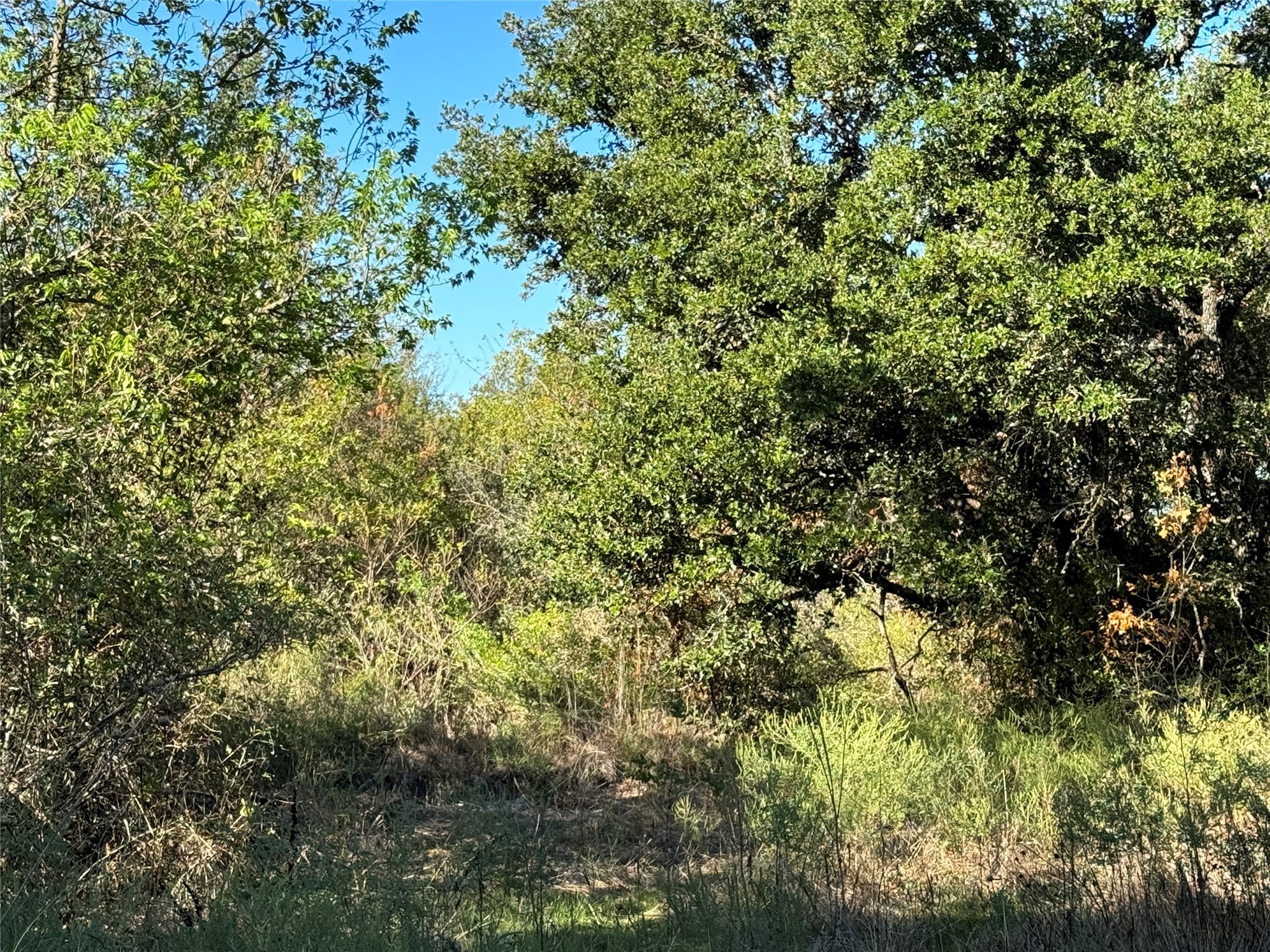 Tbd Mason Court Dublin TX 76446