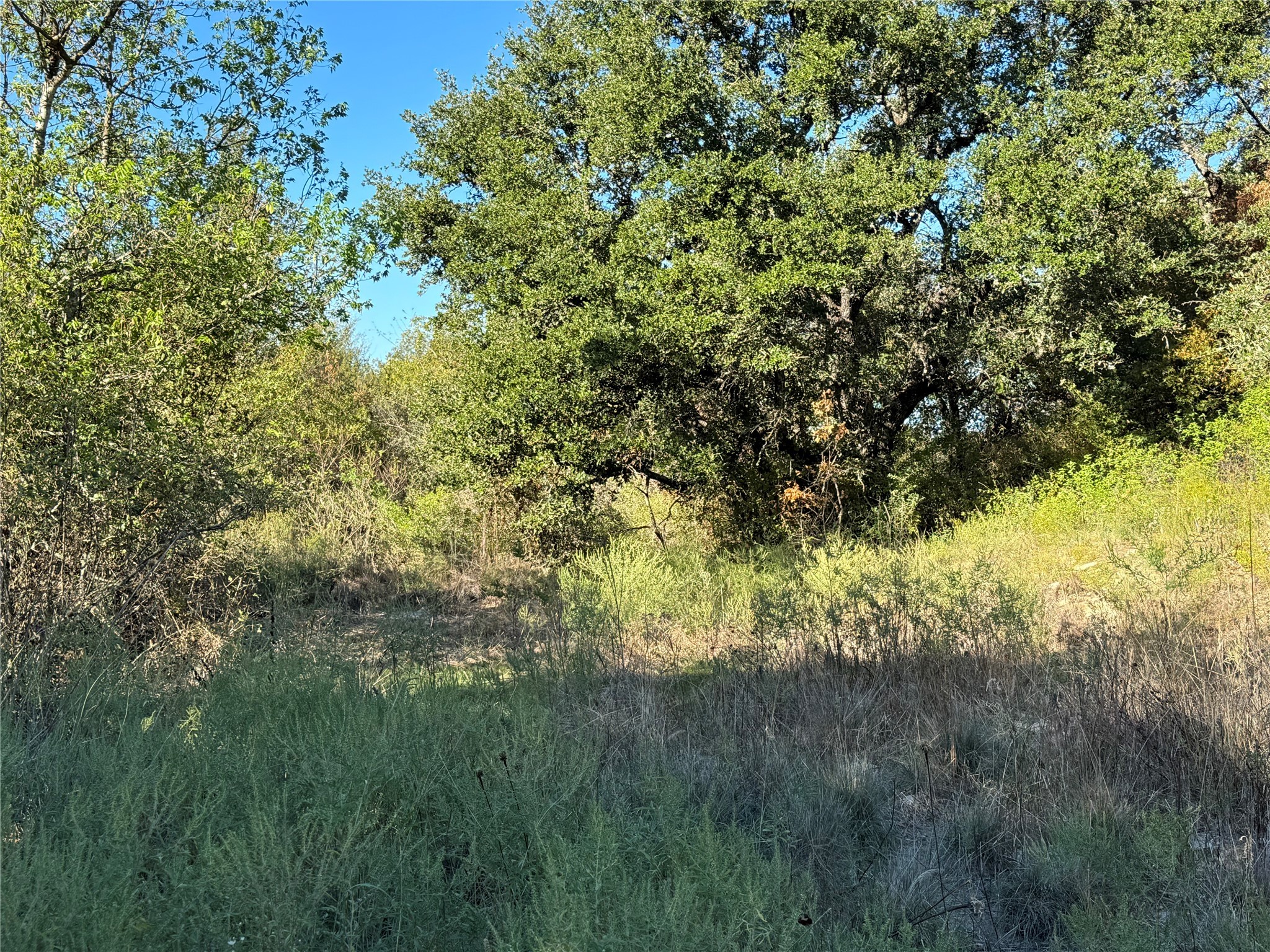 Tbd Mason Court Dublin TX 76446