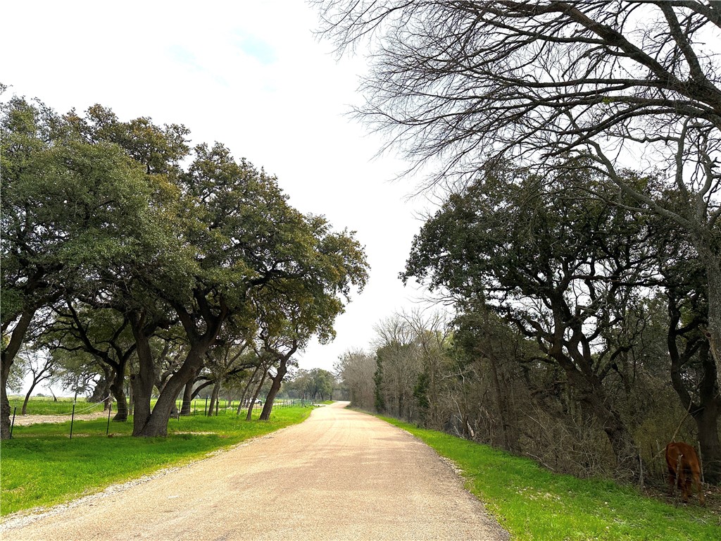 Sunset Ranch Tract 9 Cr 356 Road Gatesville TX 76528