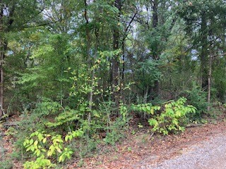 Tbd Lot 17 Westwood Drive Trinidad TX 75163